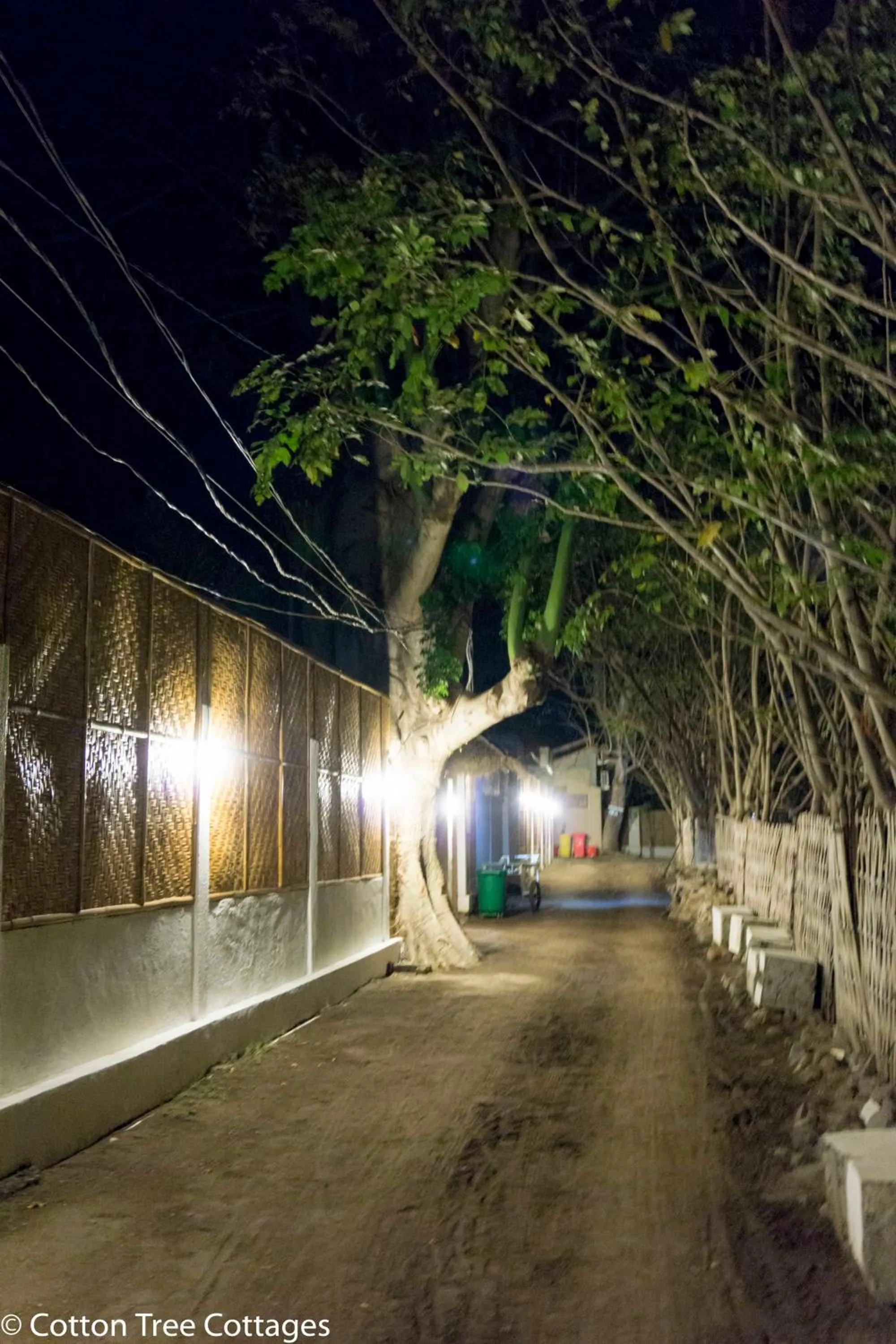 Facade/entrance in Cotton Tree Cottages
