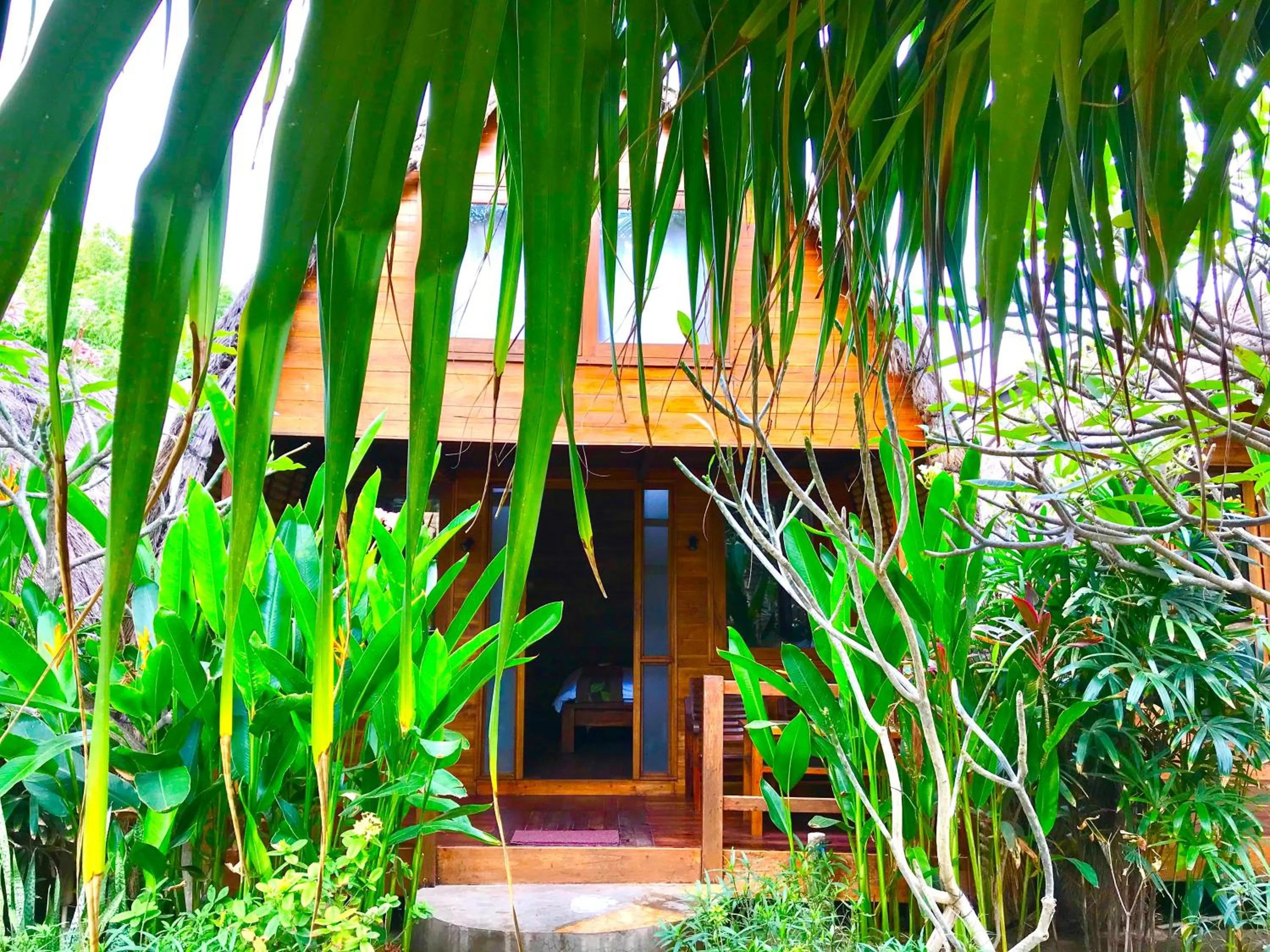 Cotton Tree Cottages