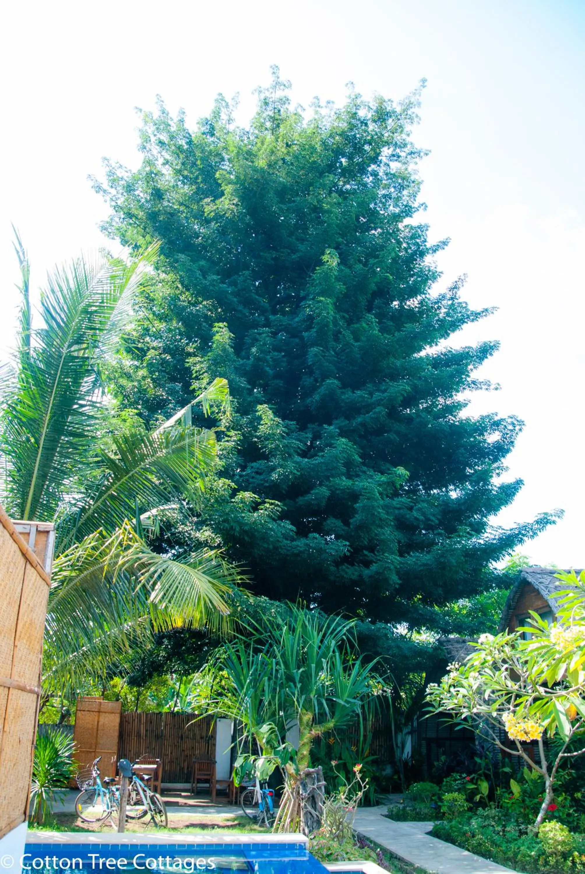 Property building in Cotton Tree Cottages