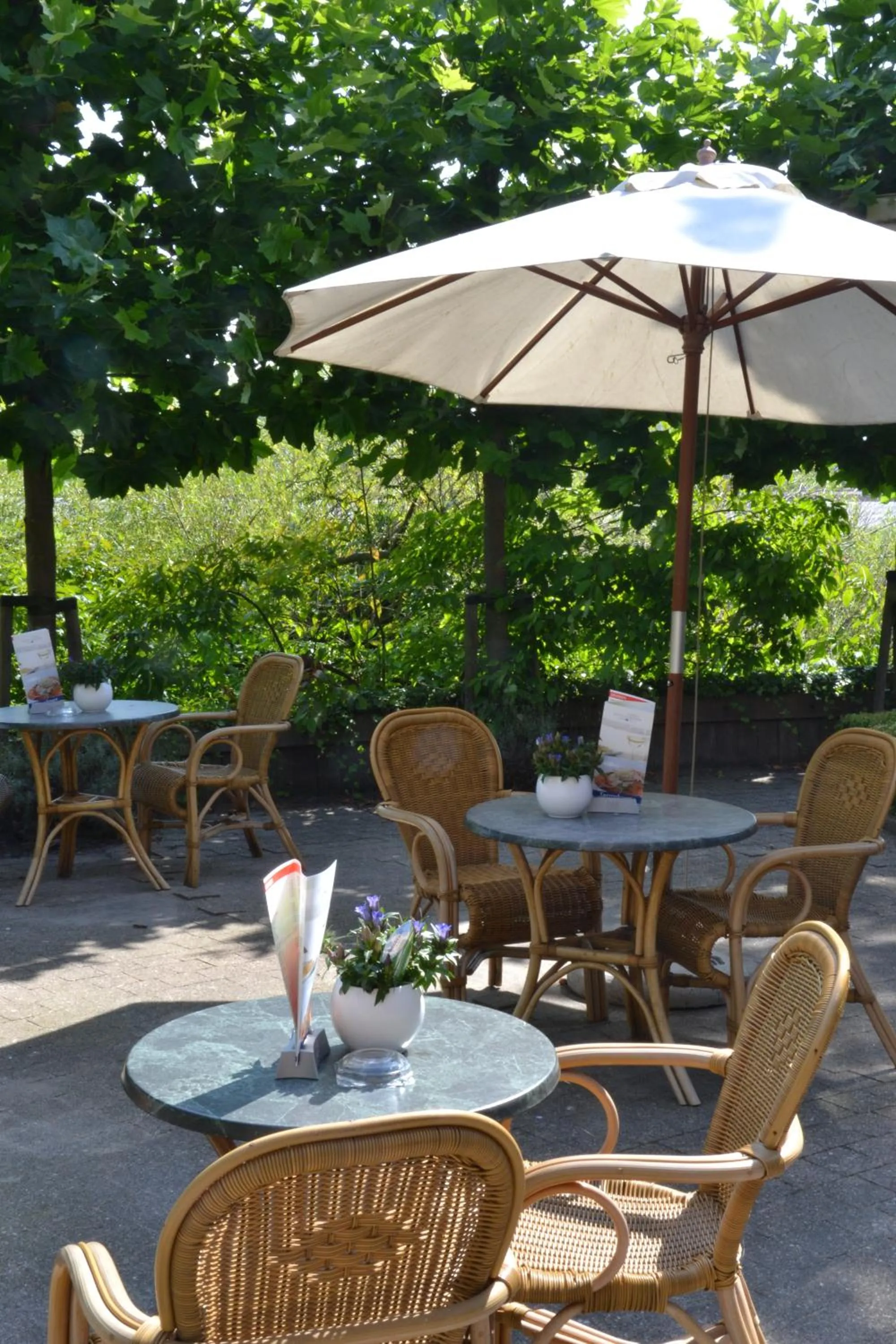 Balcony/Terrace, Restaurant/Places to Eat in Fletcher Hotel Restaurant Carlton