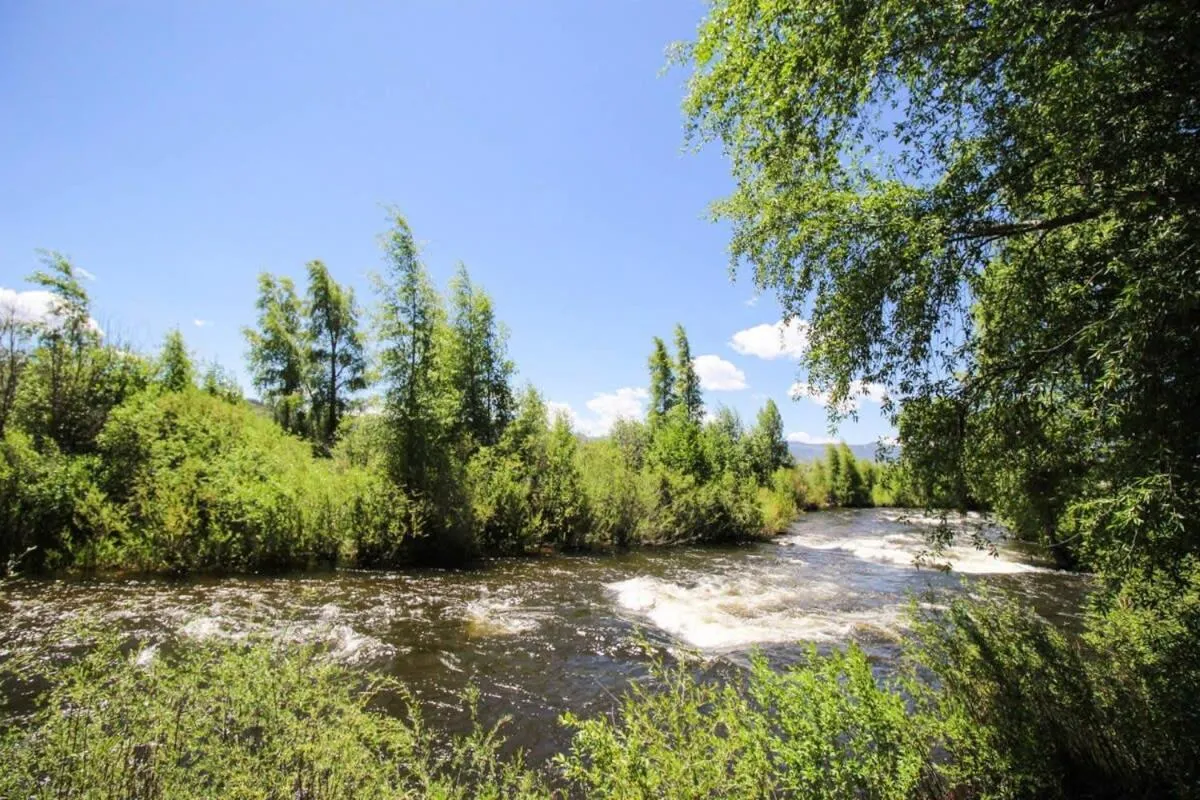 Day in Modern 3bd cabin in Edgewater