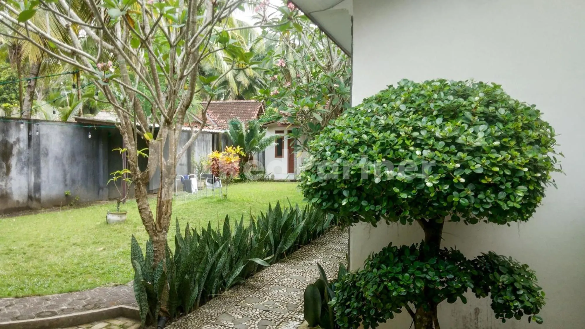 Garden view in The SO Hotel Mitra RedDoorz