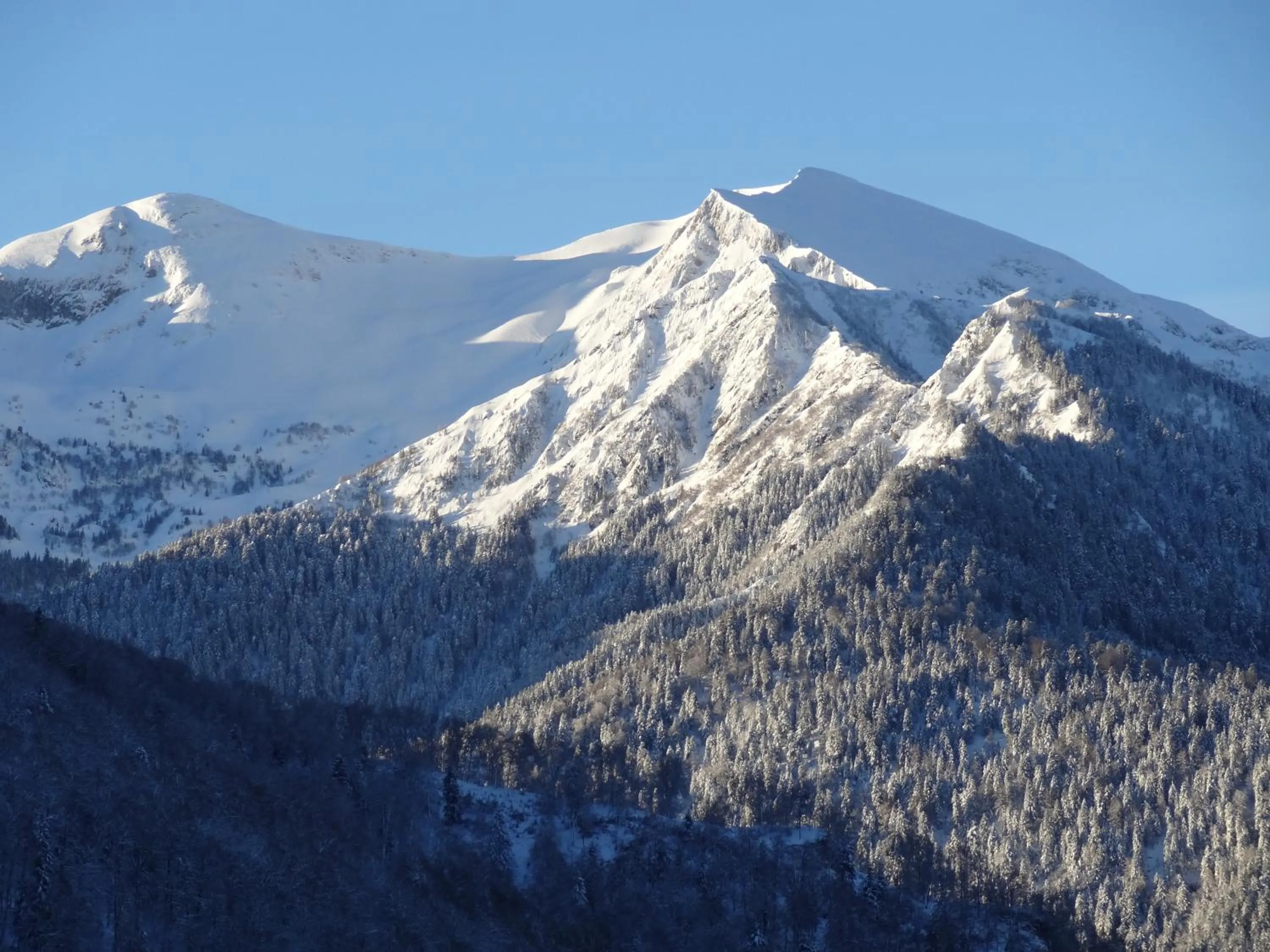 View (from property/room) in Auberge La Soulan