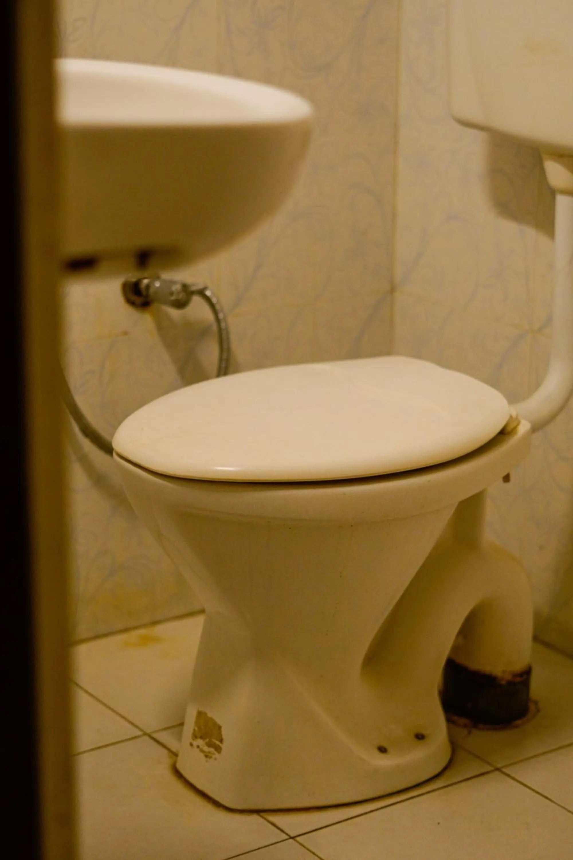 Toilet in Mild Life Hostel Udaipur