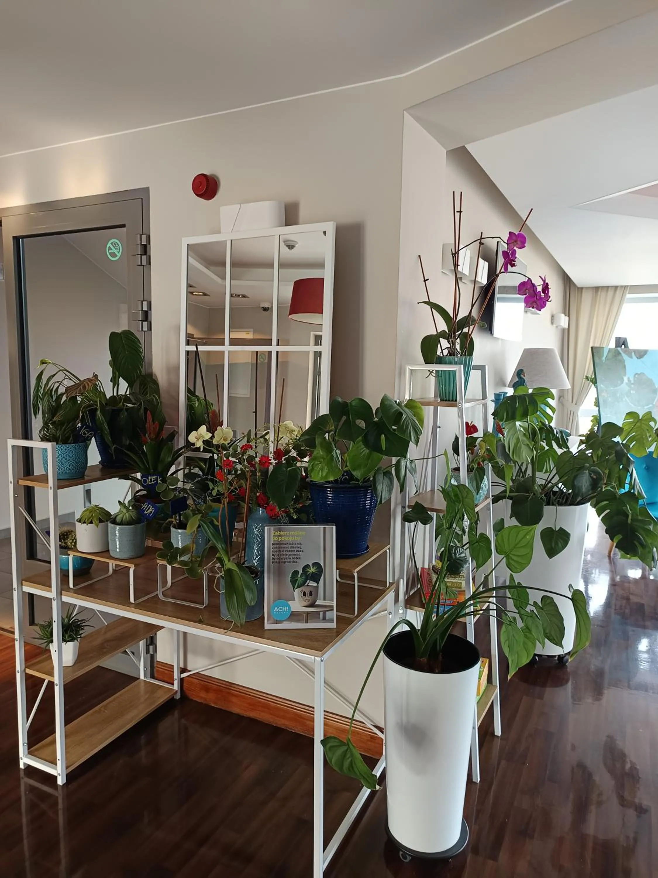 Property building in Ach Mazury