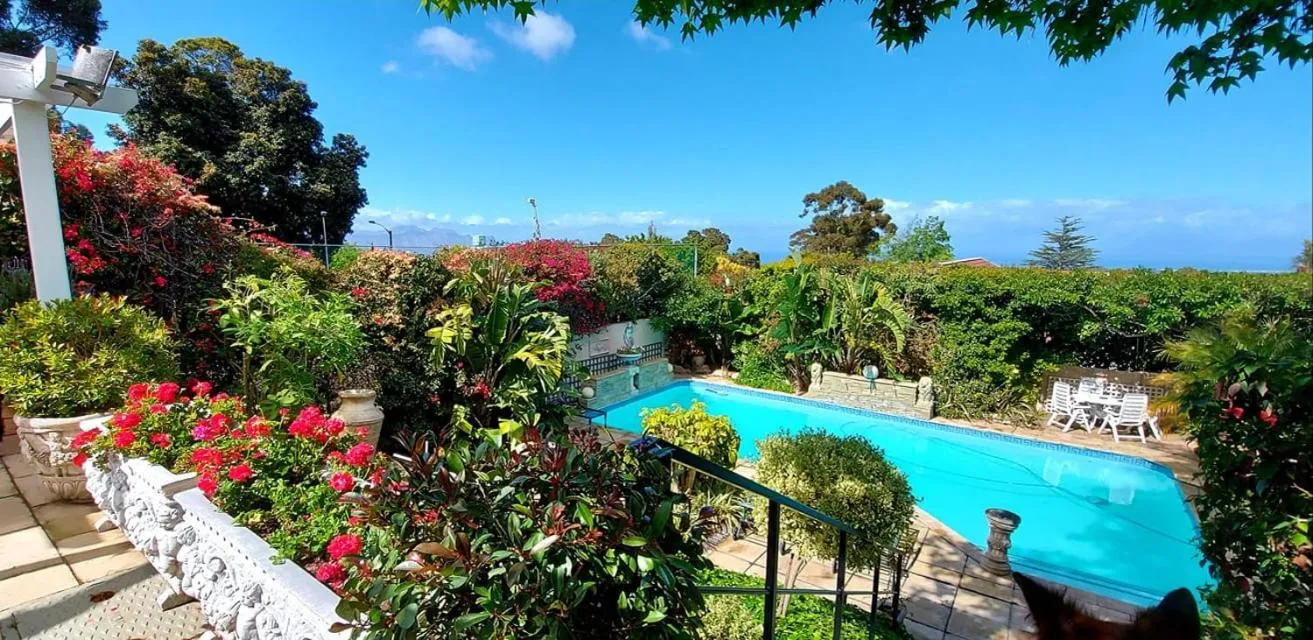 Pool view in Roosboom Guest Apartments