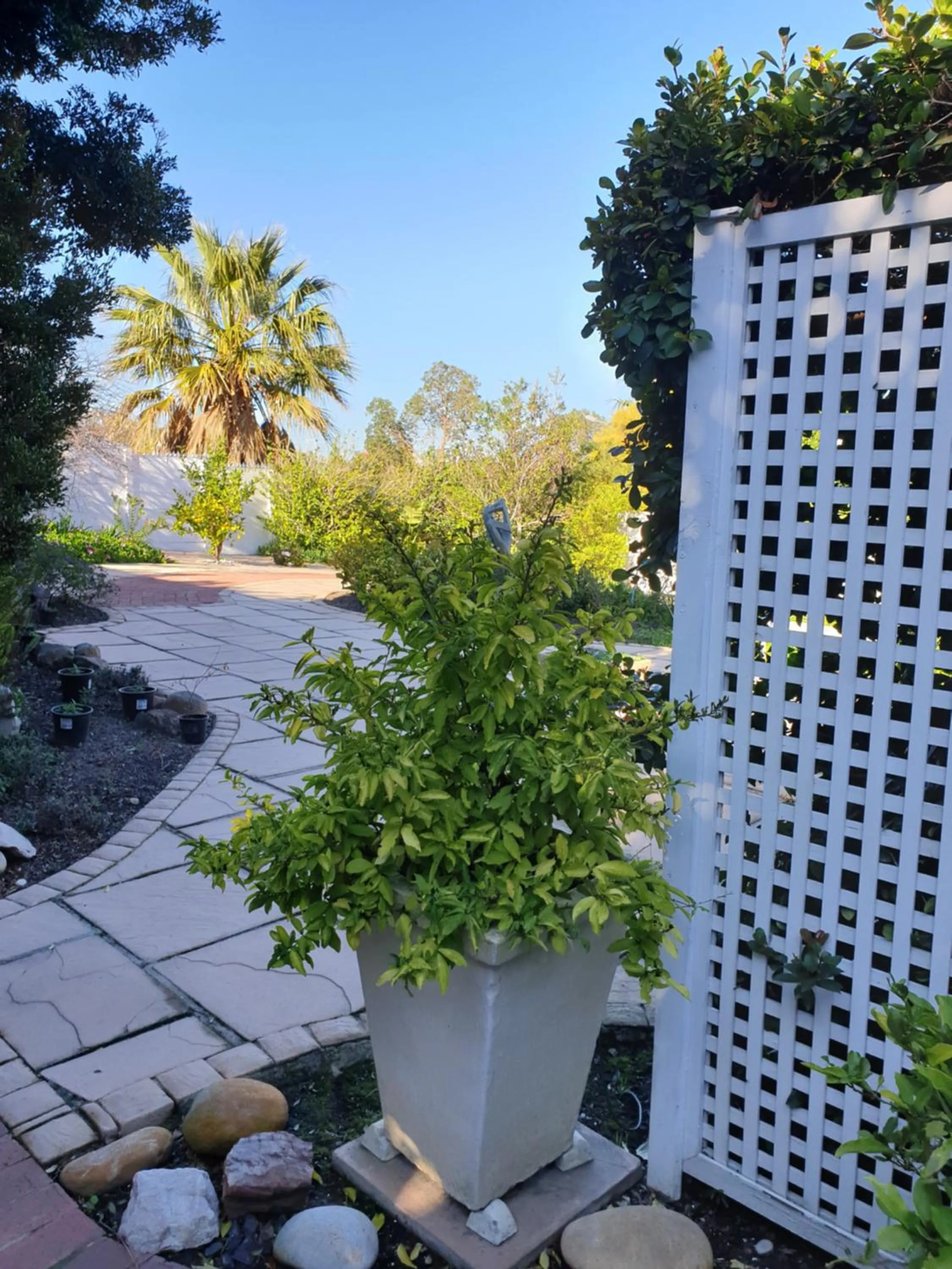 Garden in Roosboom Guest Apartments