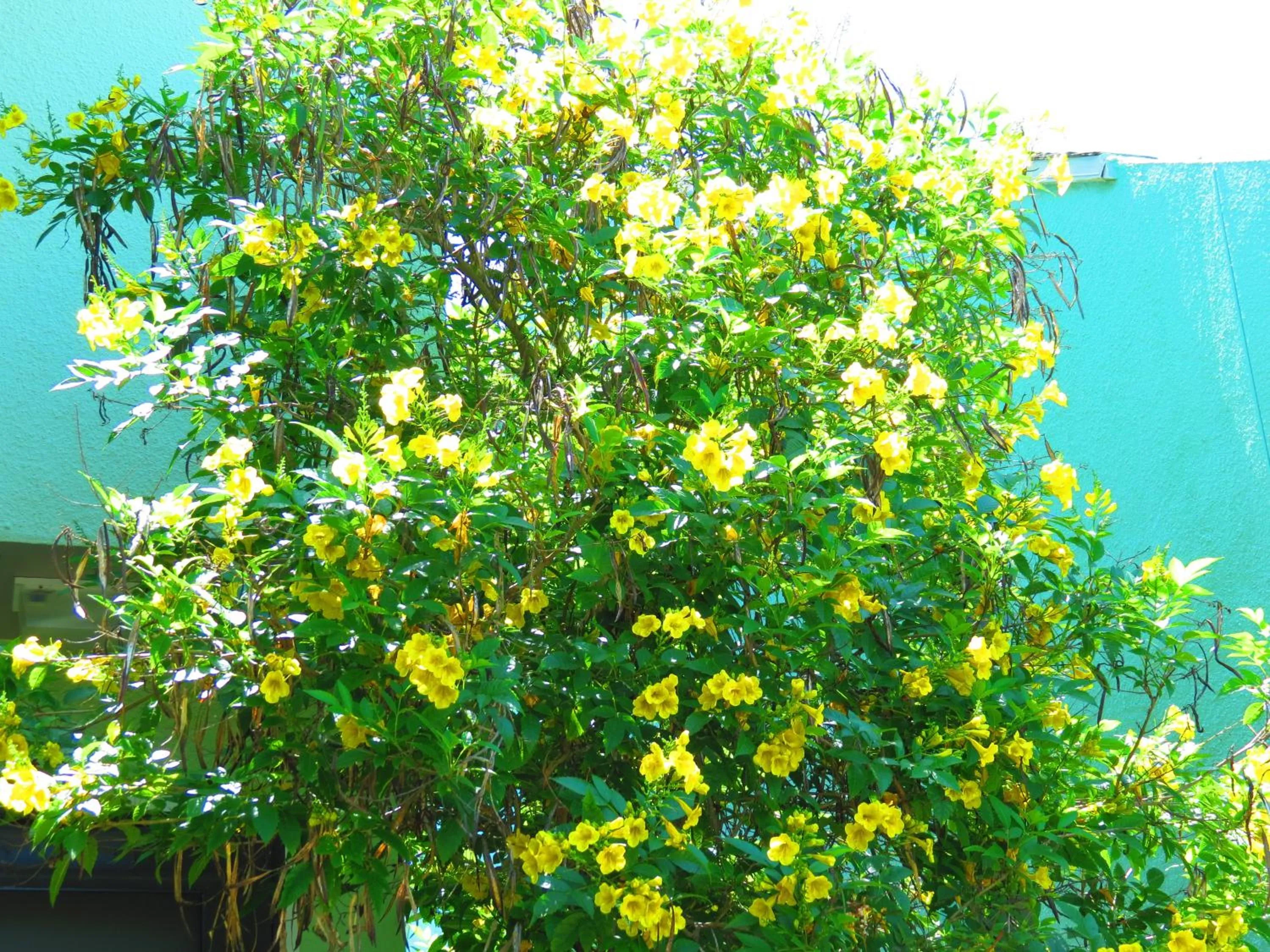 Facade/entrance in Multi Resorts at Puente Vista