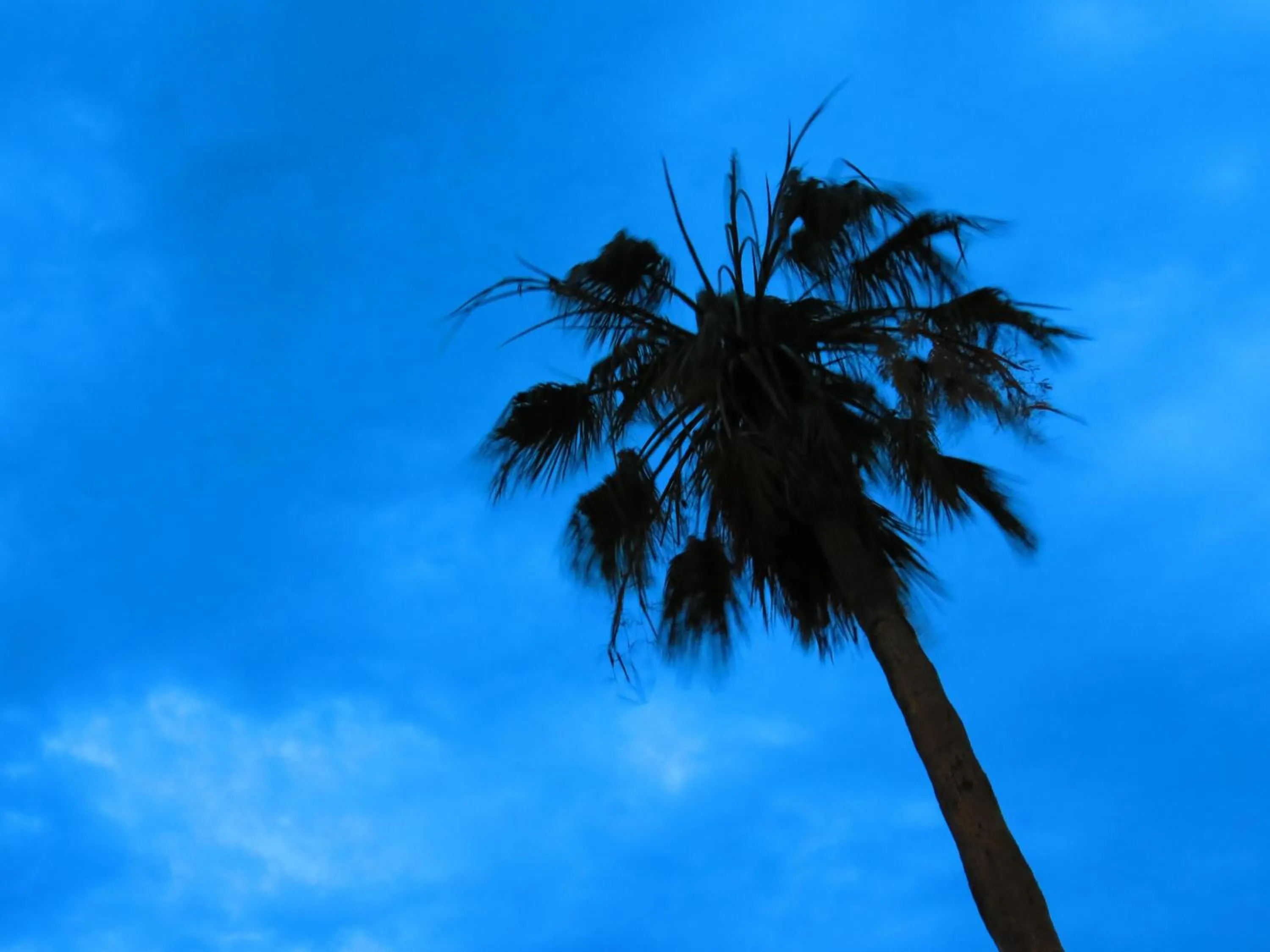 Facade/entrance in Multi Resorts at Puente Vista