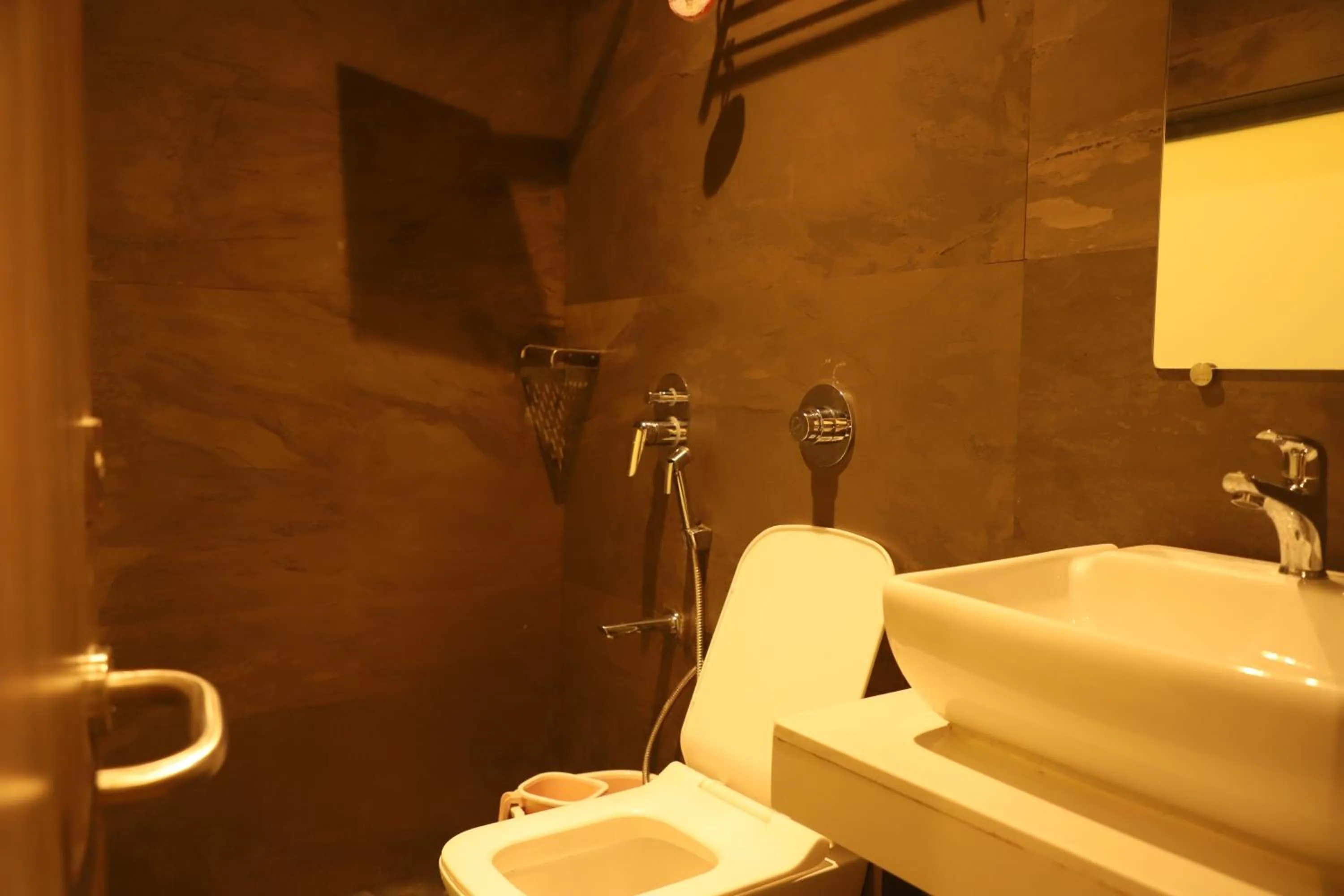 Shower in Hotel Sai Pritam