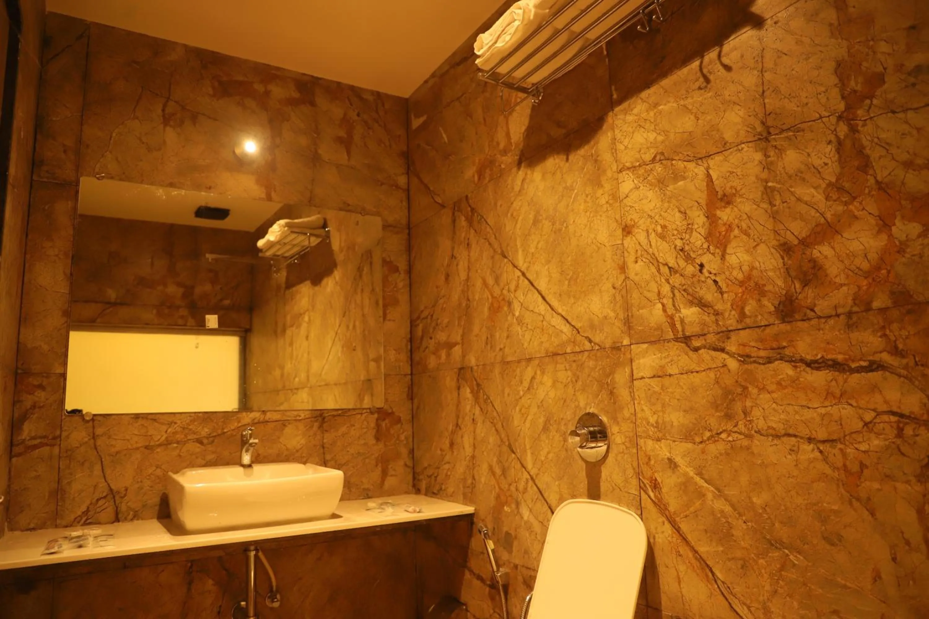 Shower in Hotel Sai Pritam