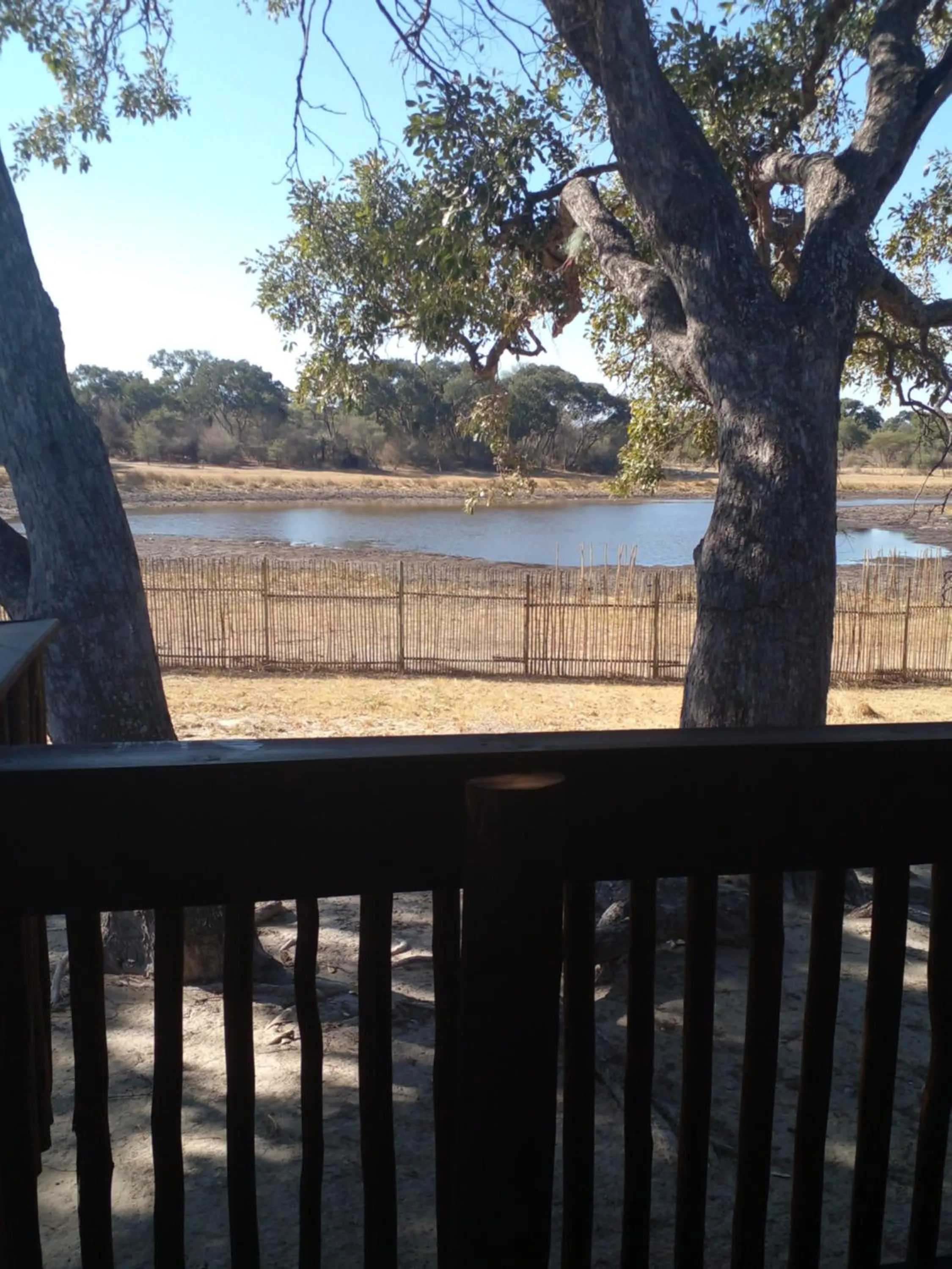 Balcony/Terrace in Nako Okavango Guesthouse