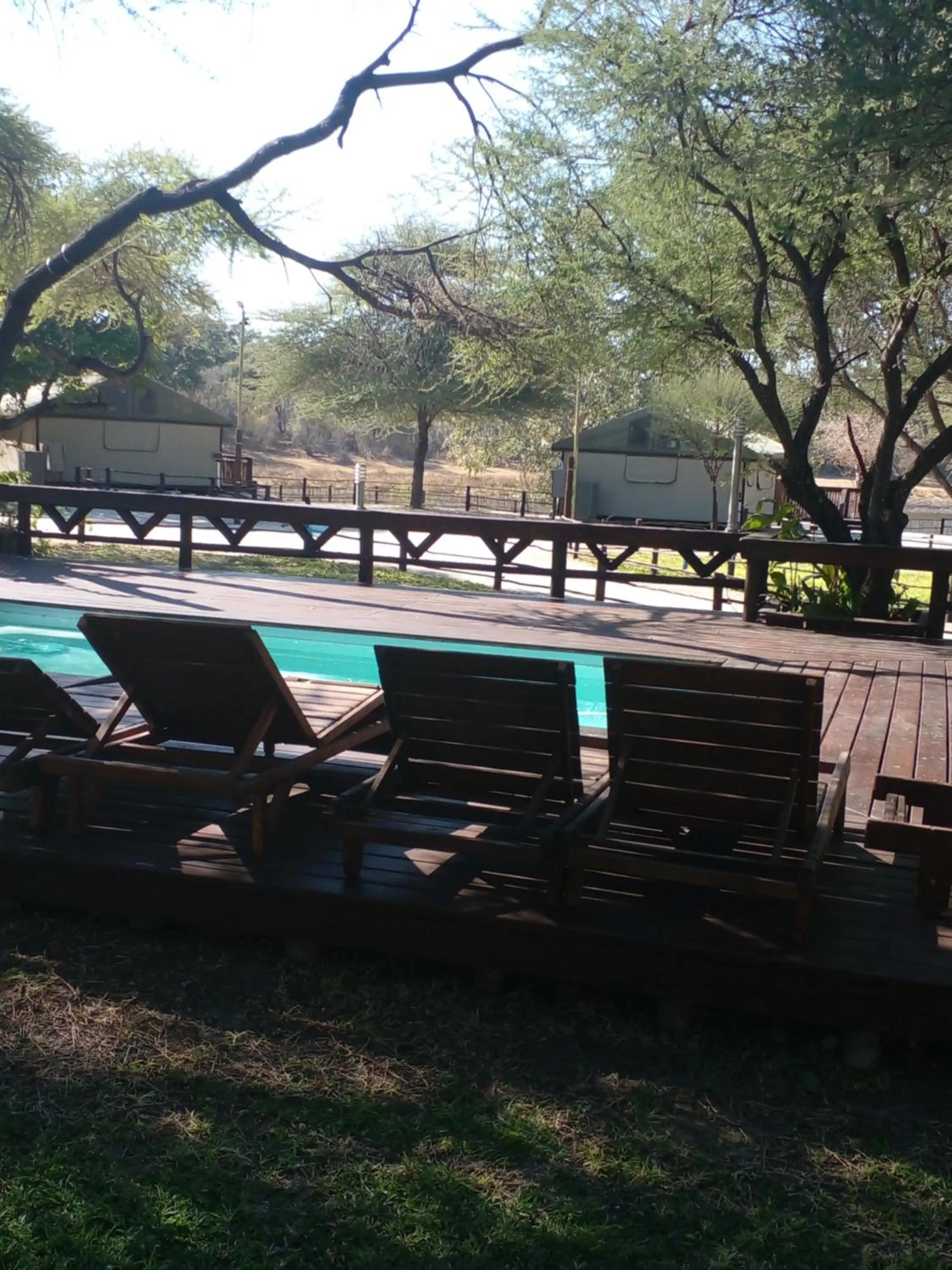 Garden in Nako Okavango Guesthouse