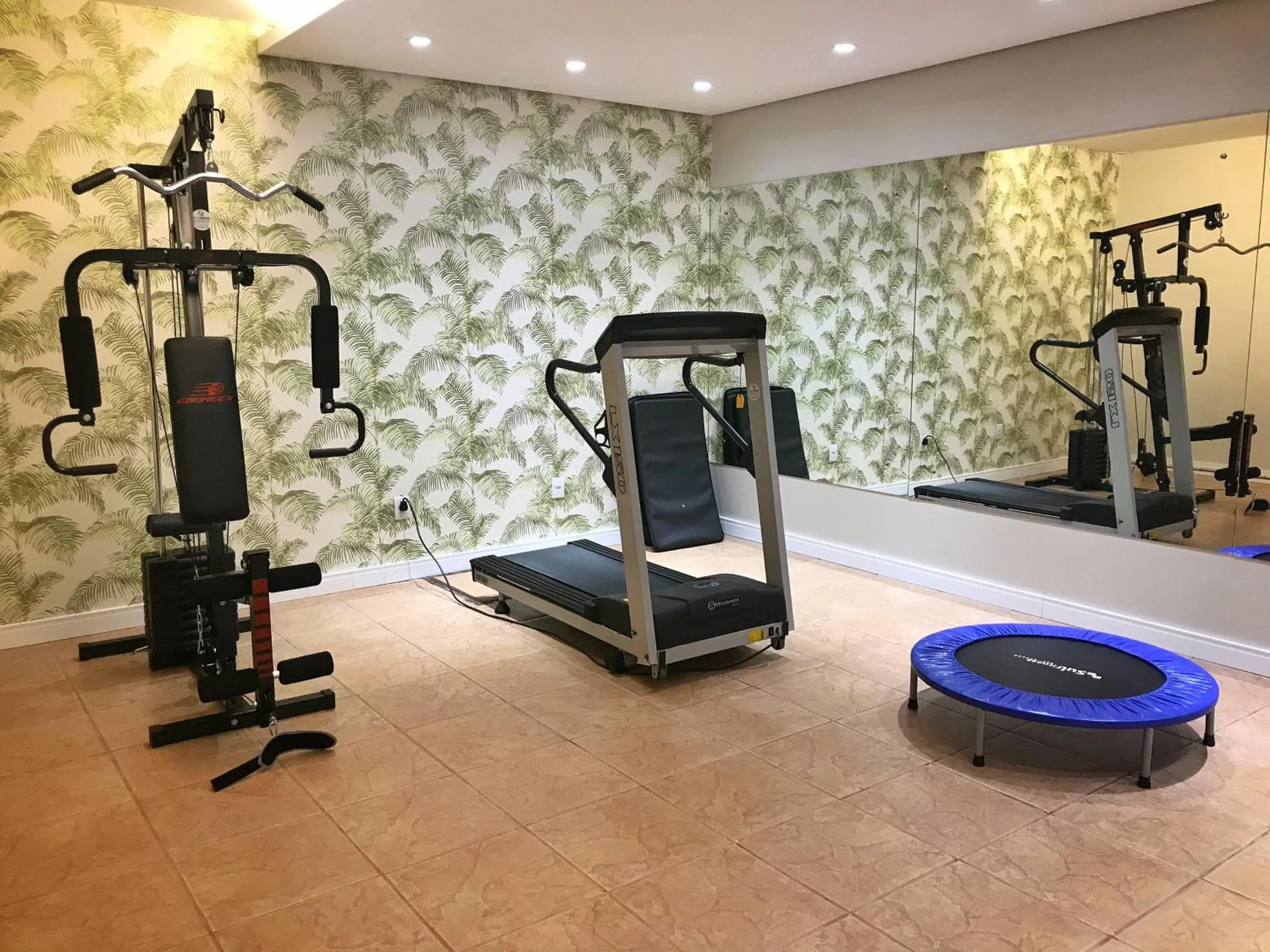 Fitness centre/facilities in Tenondé Park Hotel