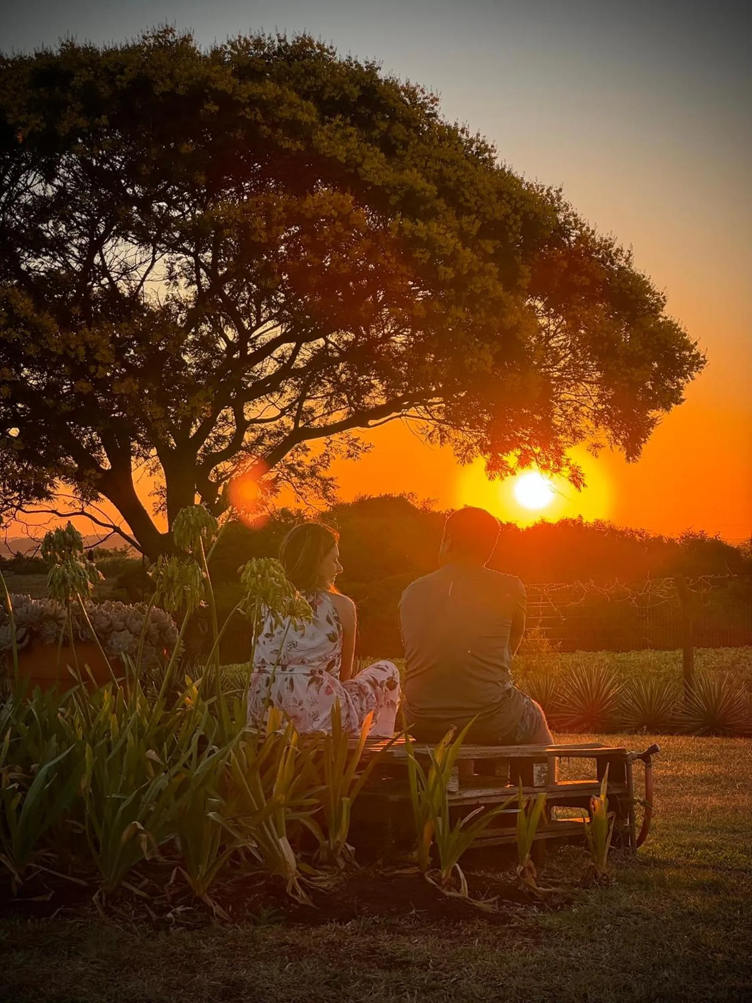 Off site in Tenondé Park Hotel