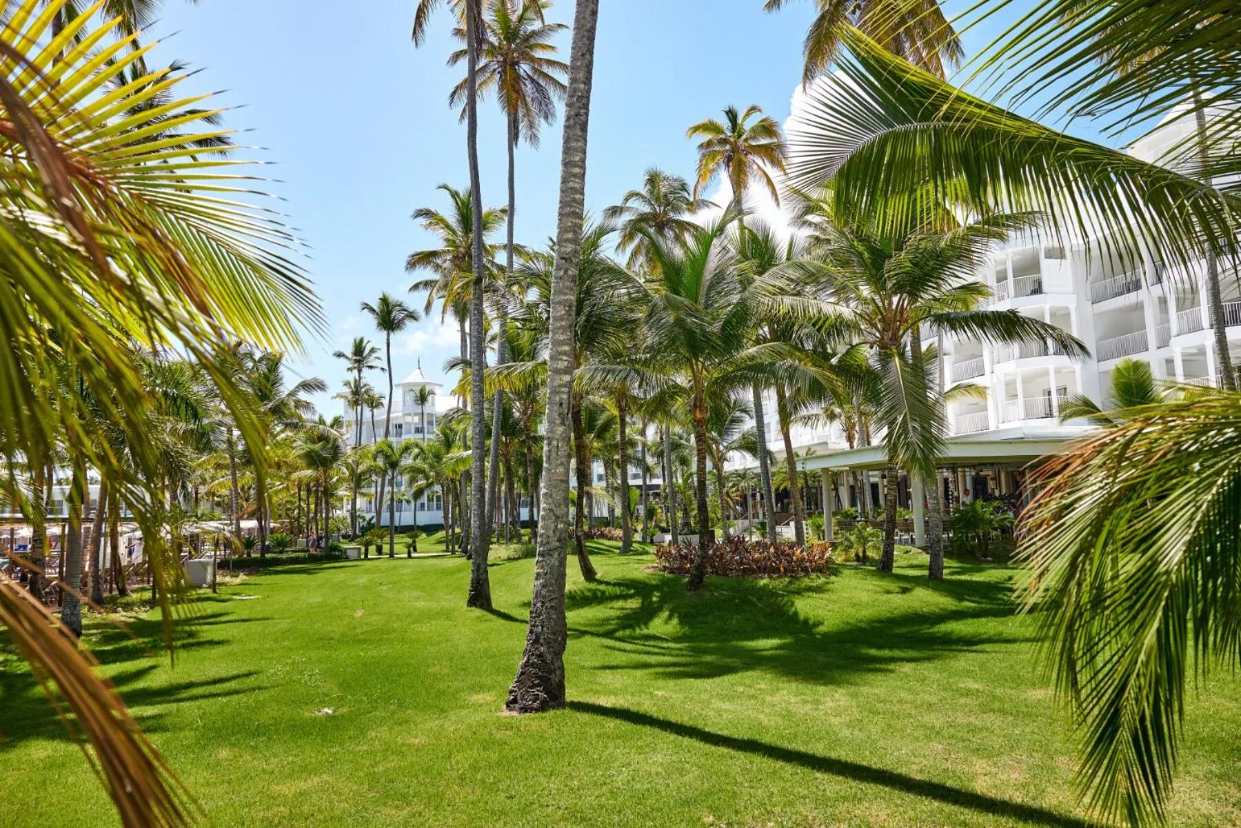 Garden in Riu Palace Macao - Adults Only - All Inclusive