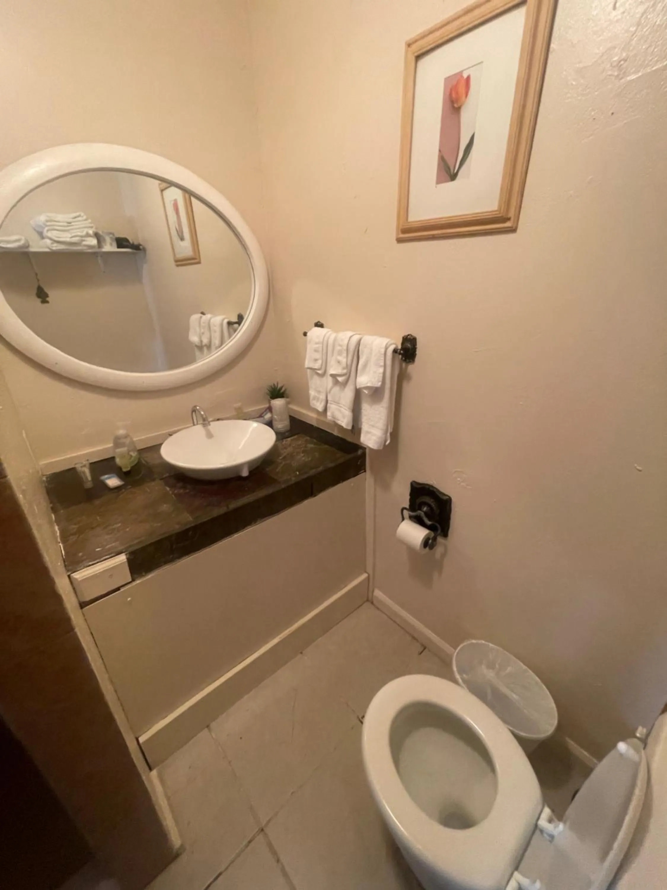 Toilet in Steam Train Hotel