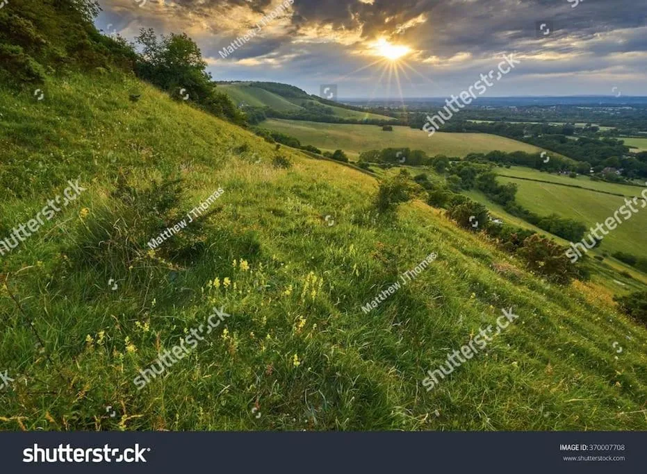 Nearby landmark in Cute Studio with kitchen, patio and free parking