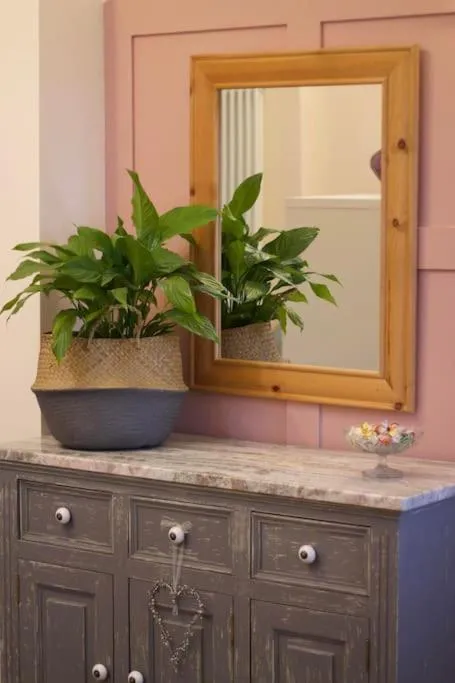 Cute Studio with kitchen, patio and free parking