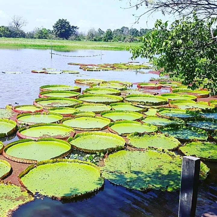 Nearby landmark in Pousada Angatu alter