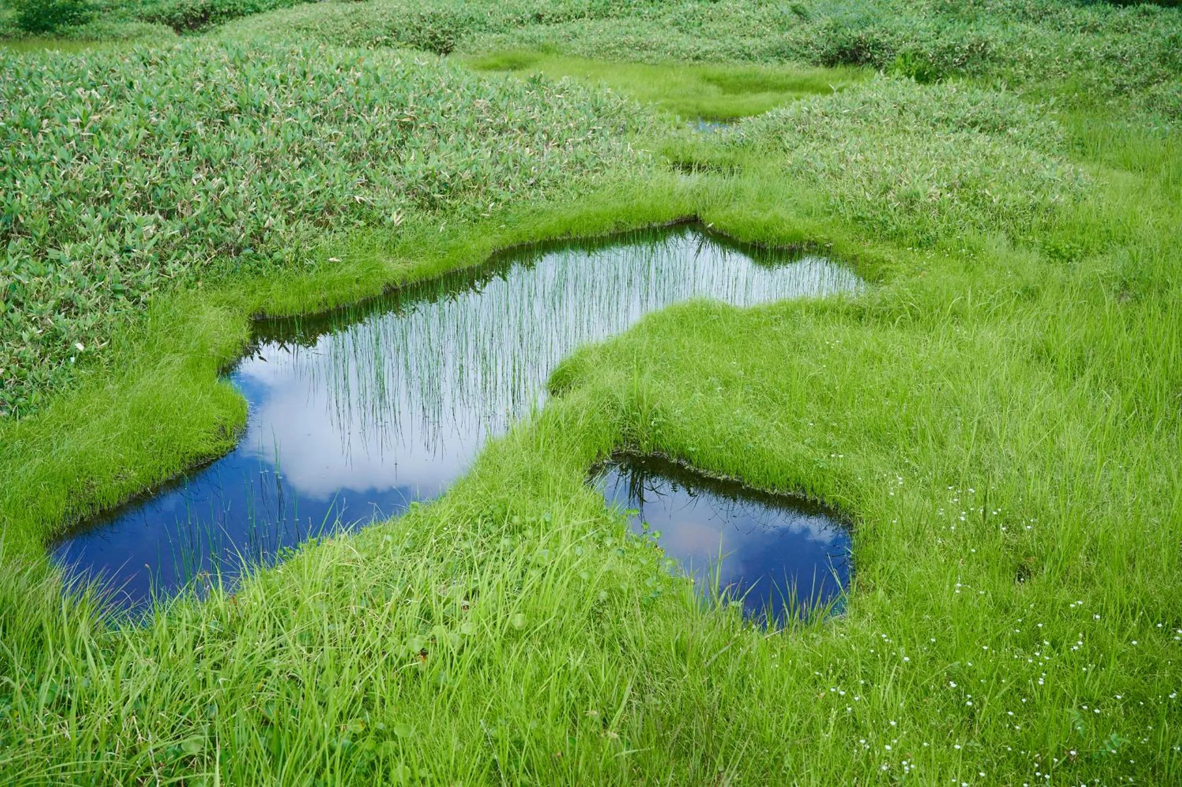 Natural landscape in Midagahara Hotel