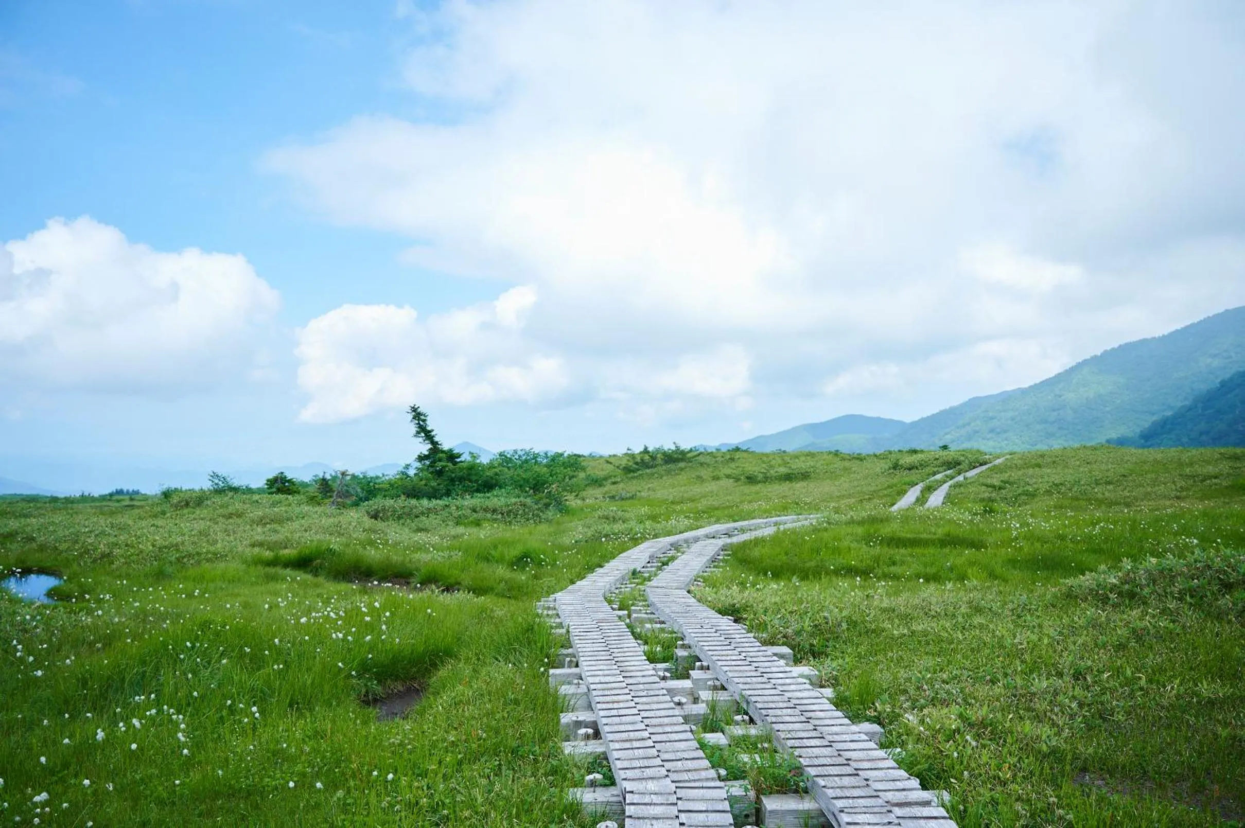 Natural landscape in Midagahara Hotel