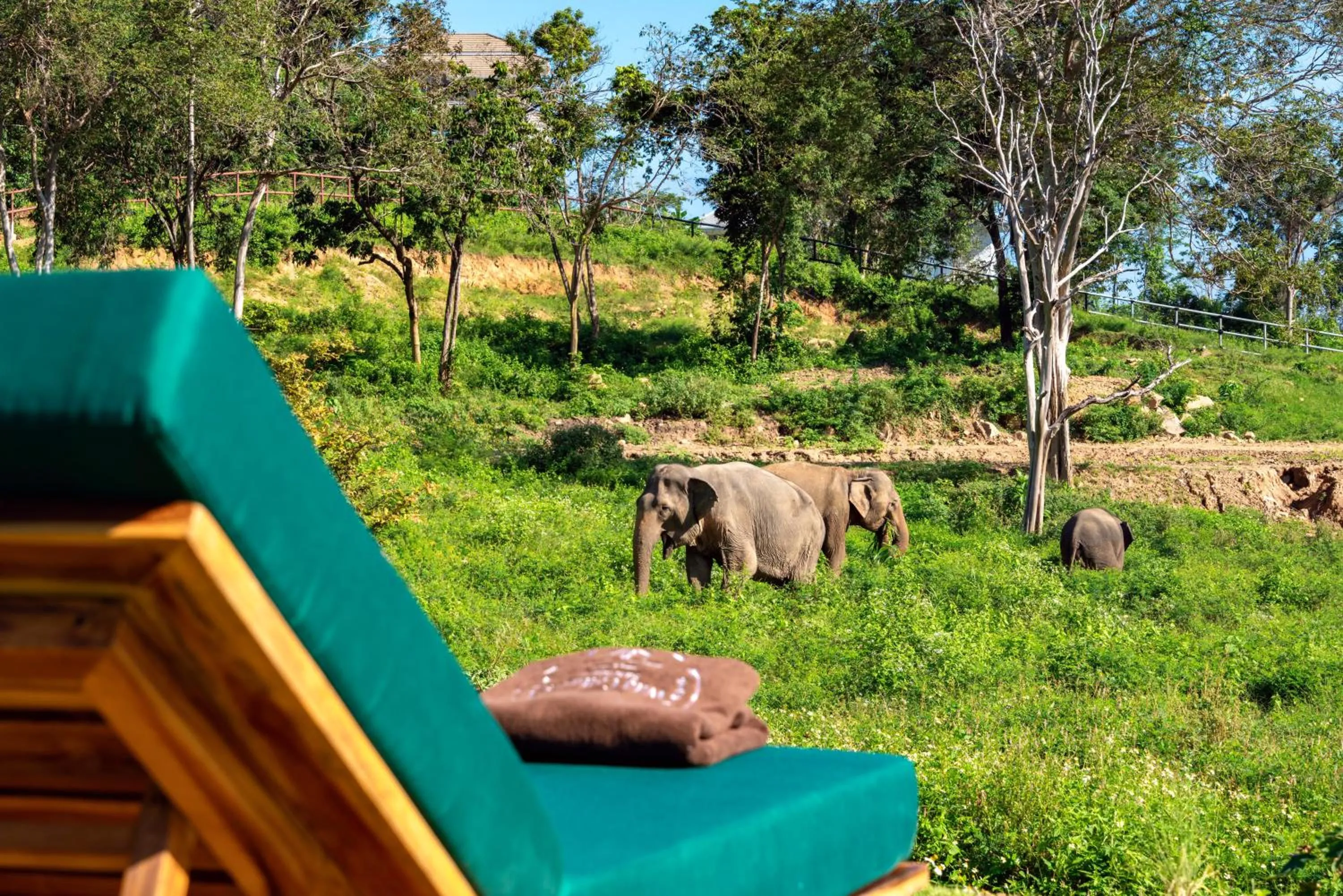 Wild Cottages Elephant Sanctuary Resort