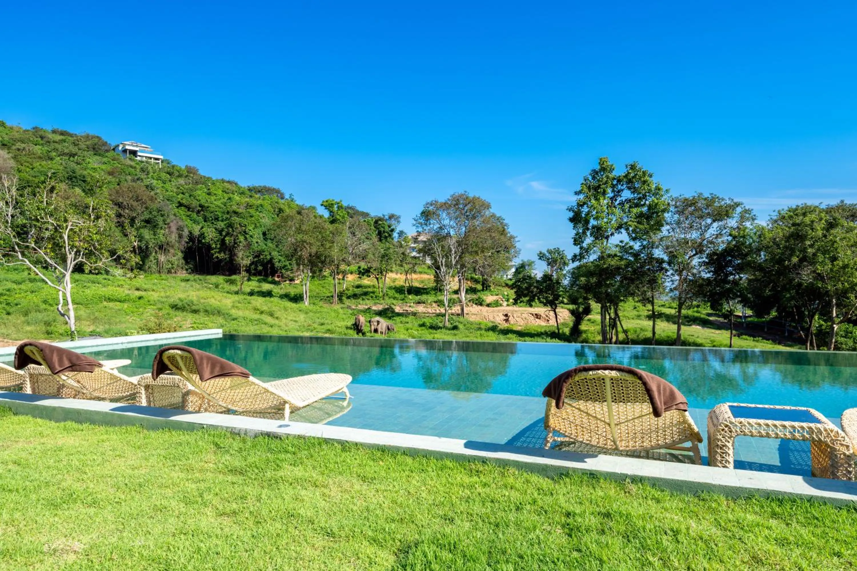 Wild Cottages Elephant Sanctuary Resort