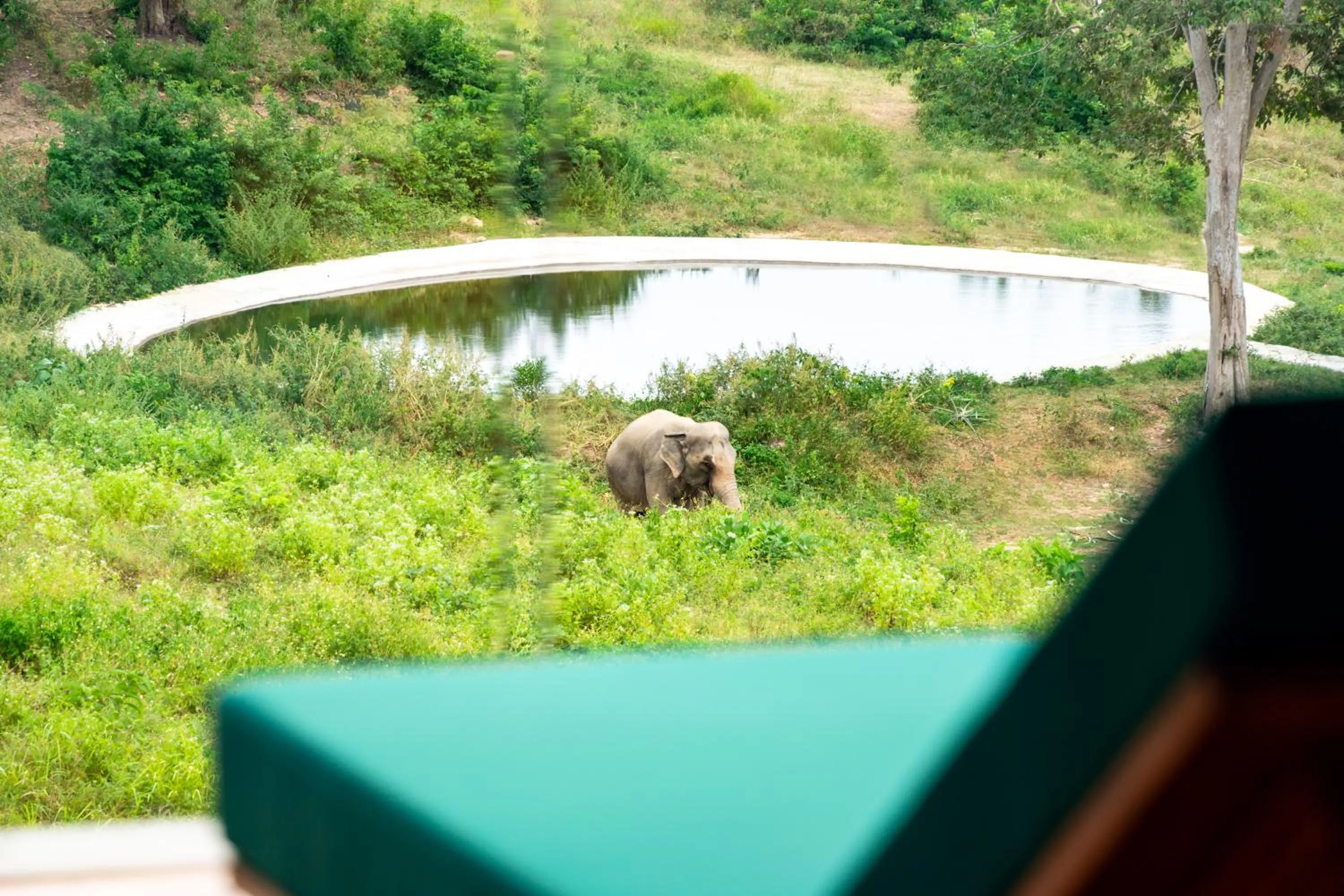 Wild Cottages Elephant Sanctuary Resort