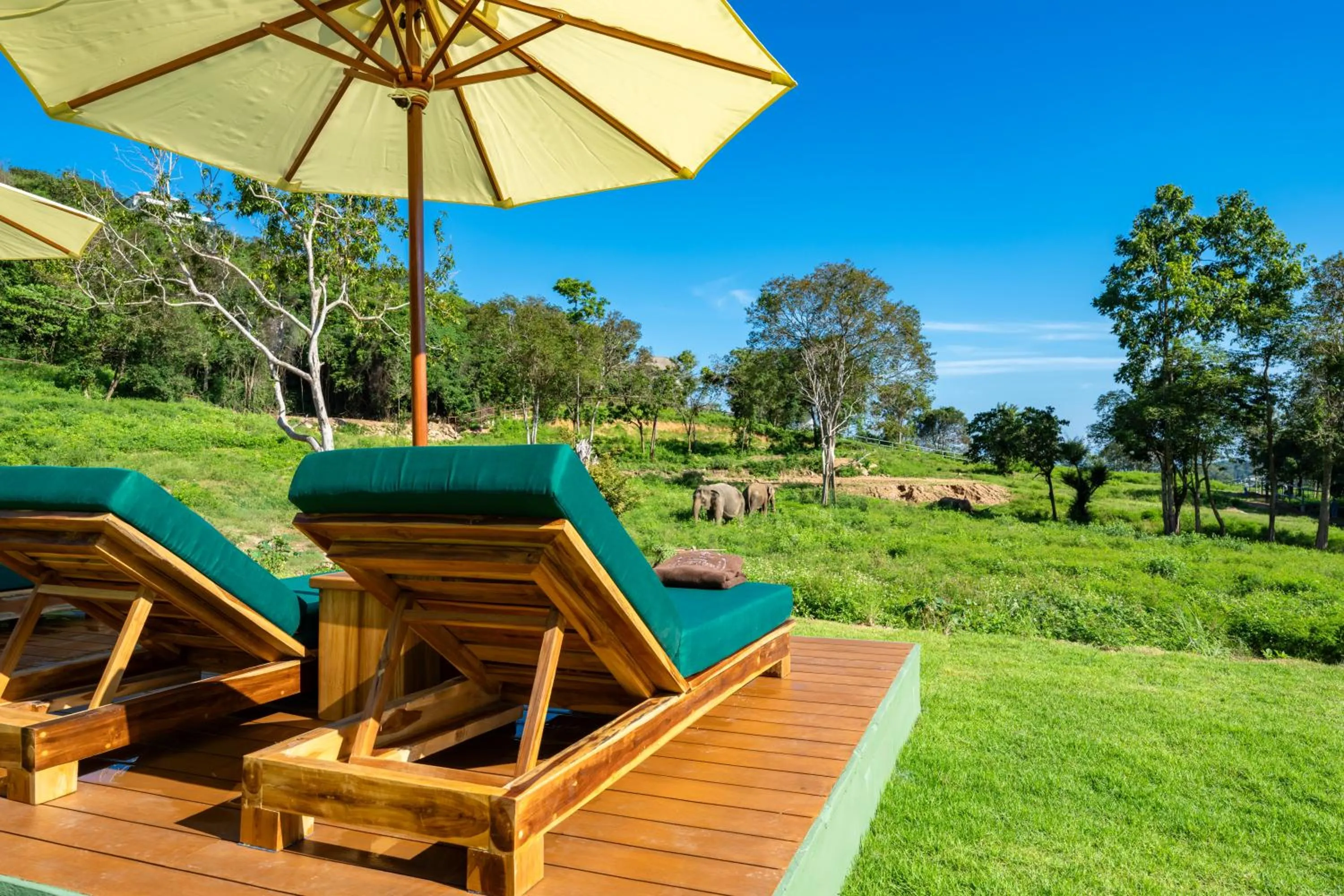 Wild Cottages Elephant Sanctuary Resort