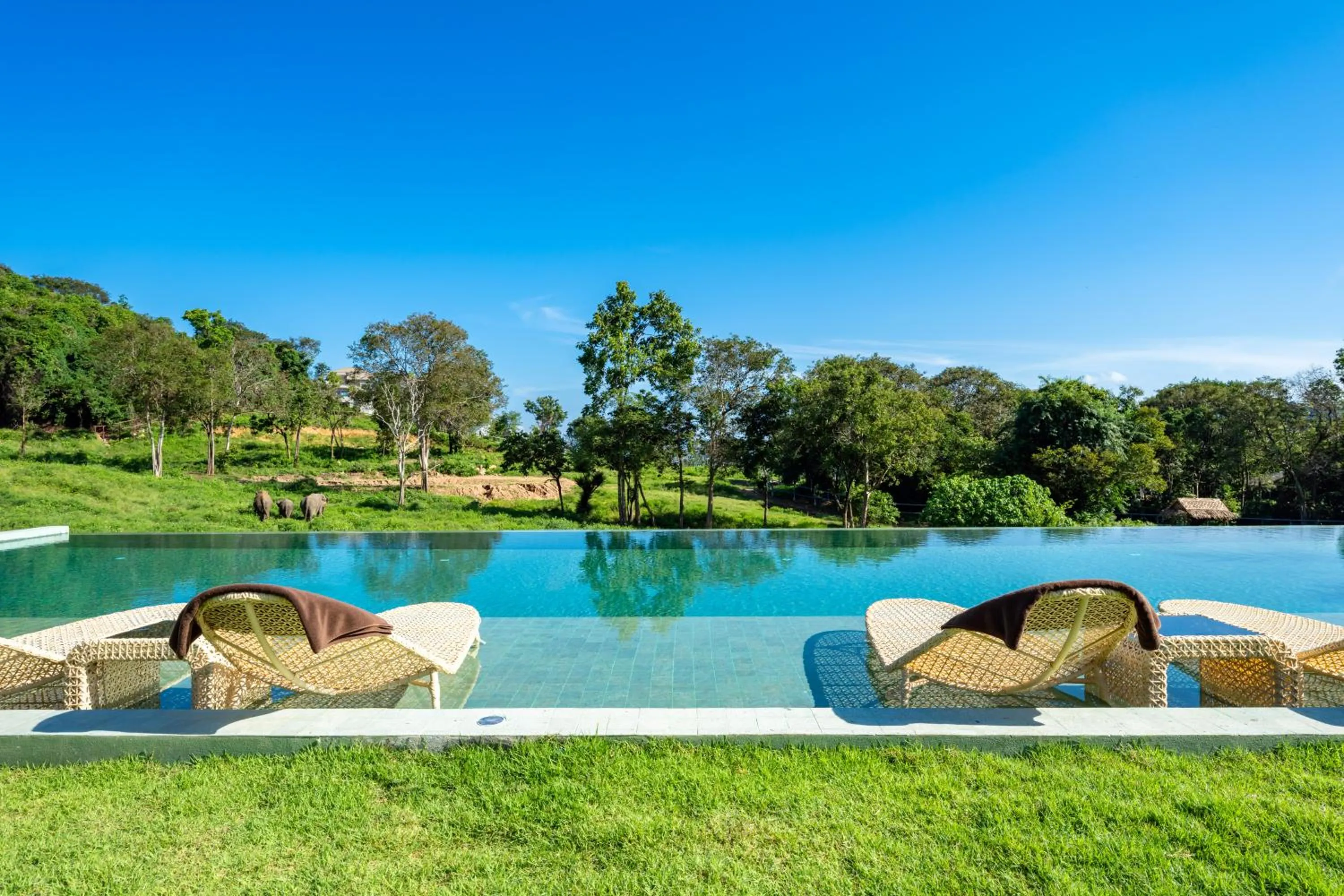 Wild Cottages Elephant Sanctuary Resort