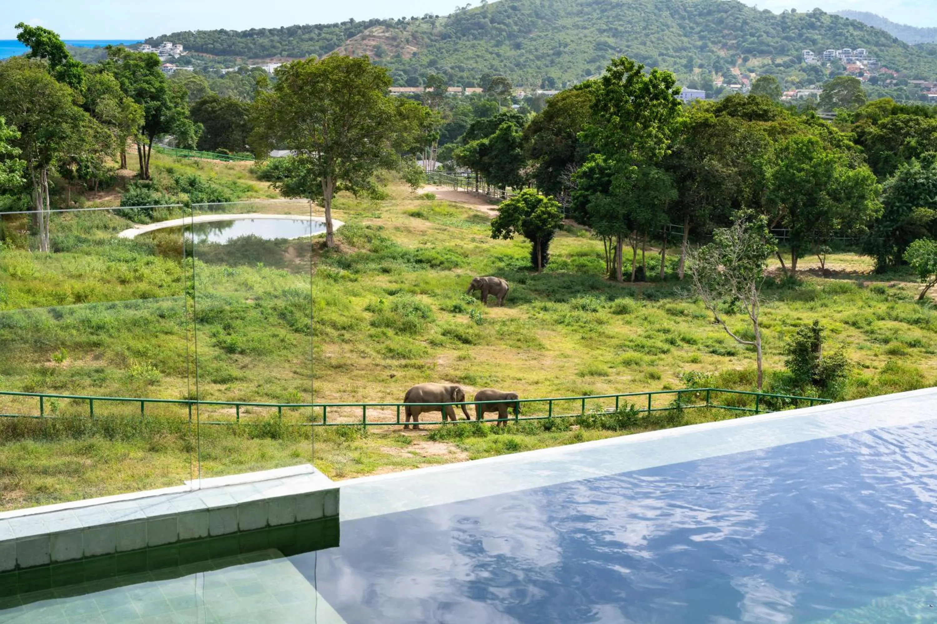 Wild Cottages Elephant Sanctuary Resort