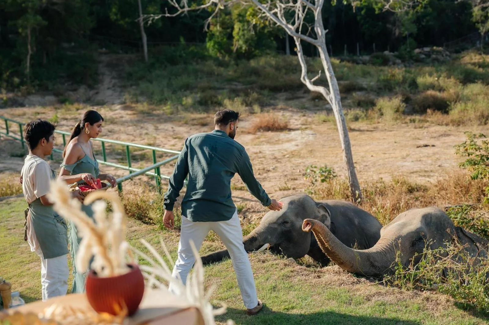 Wild Cottages Elephant Sanctuary Resort