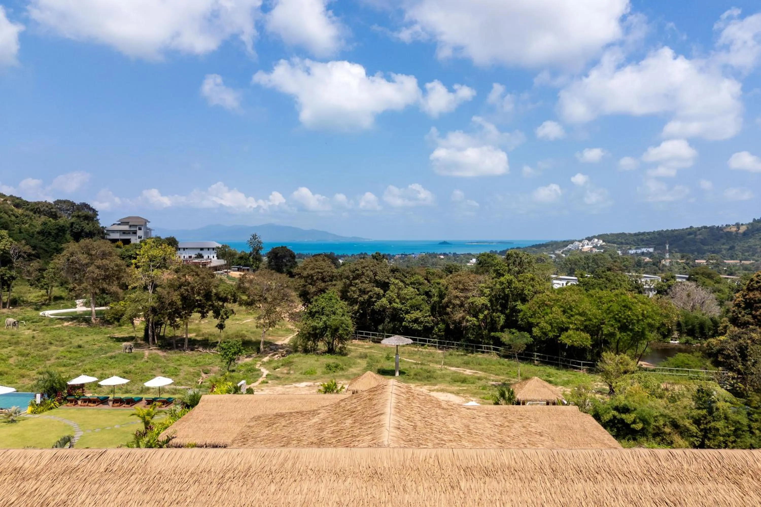 Wild Cottages Elephant Sanctuary Resort