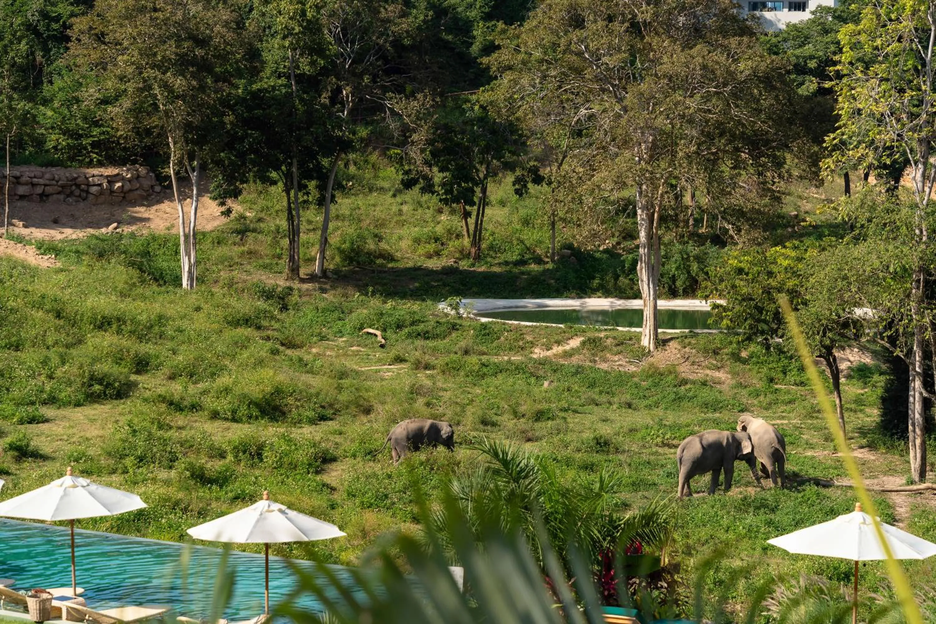 Wild Cottages Elephant Sanctuary Resort