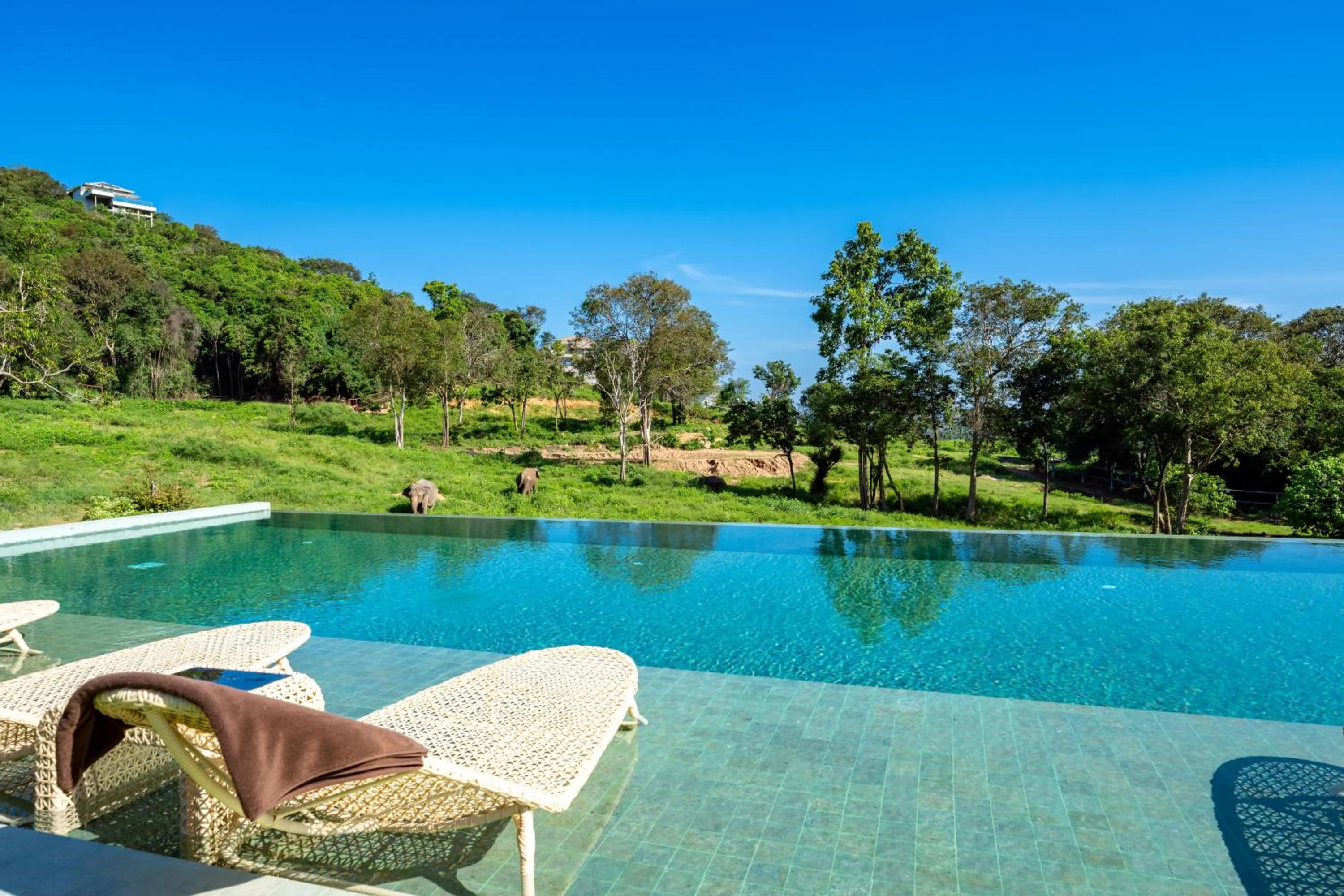 Wild Cottages Elephant Sanctuary Resort