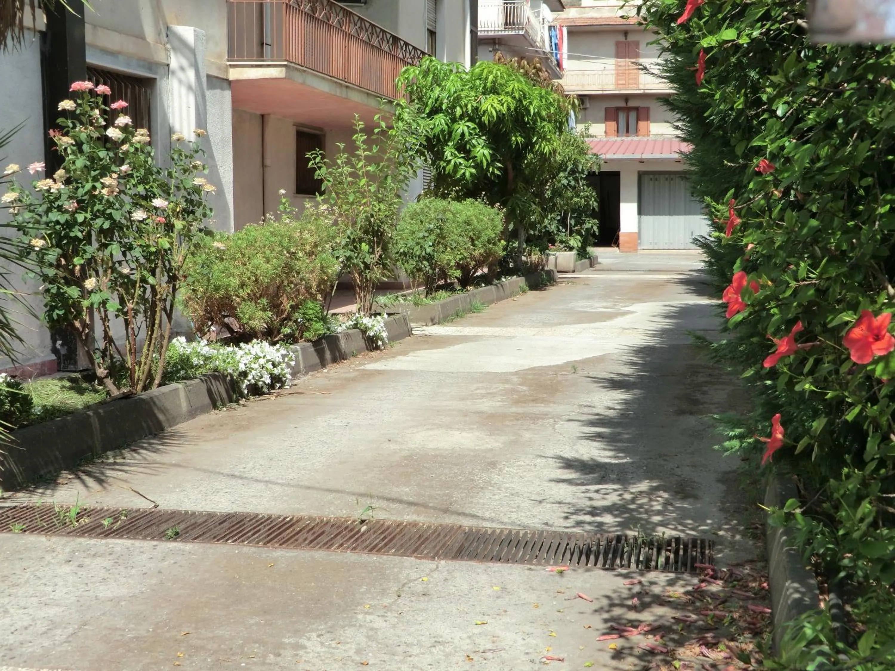 Garden in B&B Civico 115