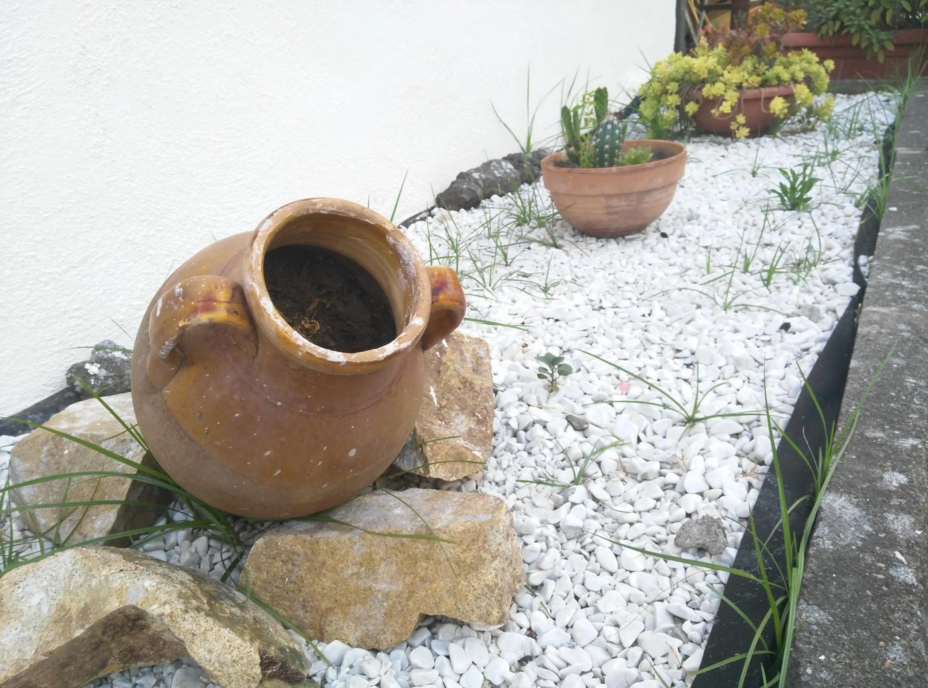 Garden in B&B Civico 115