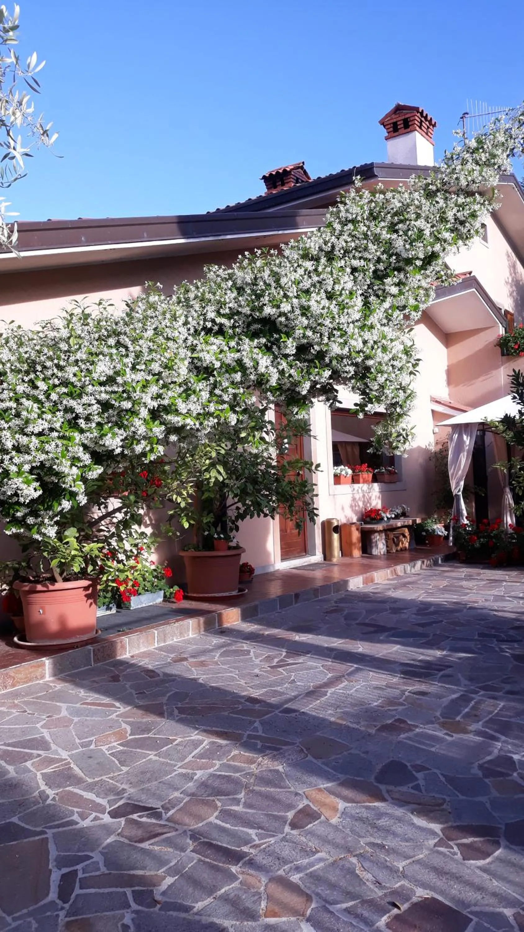 Property building in Villa Ambrosia