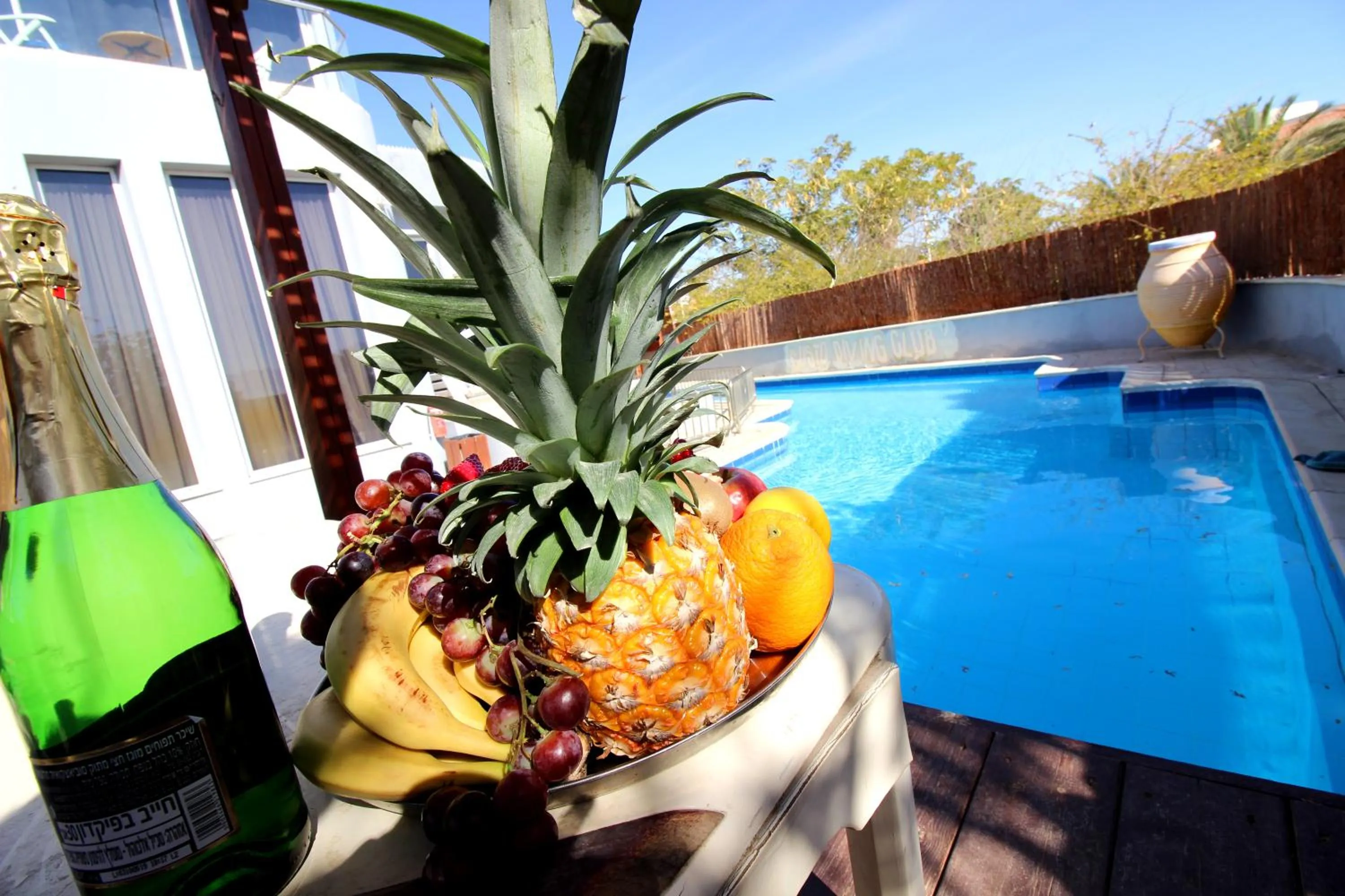 Swimming pool in Custo Club