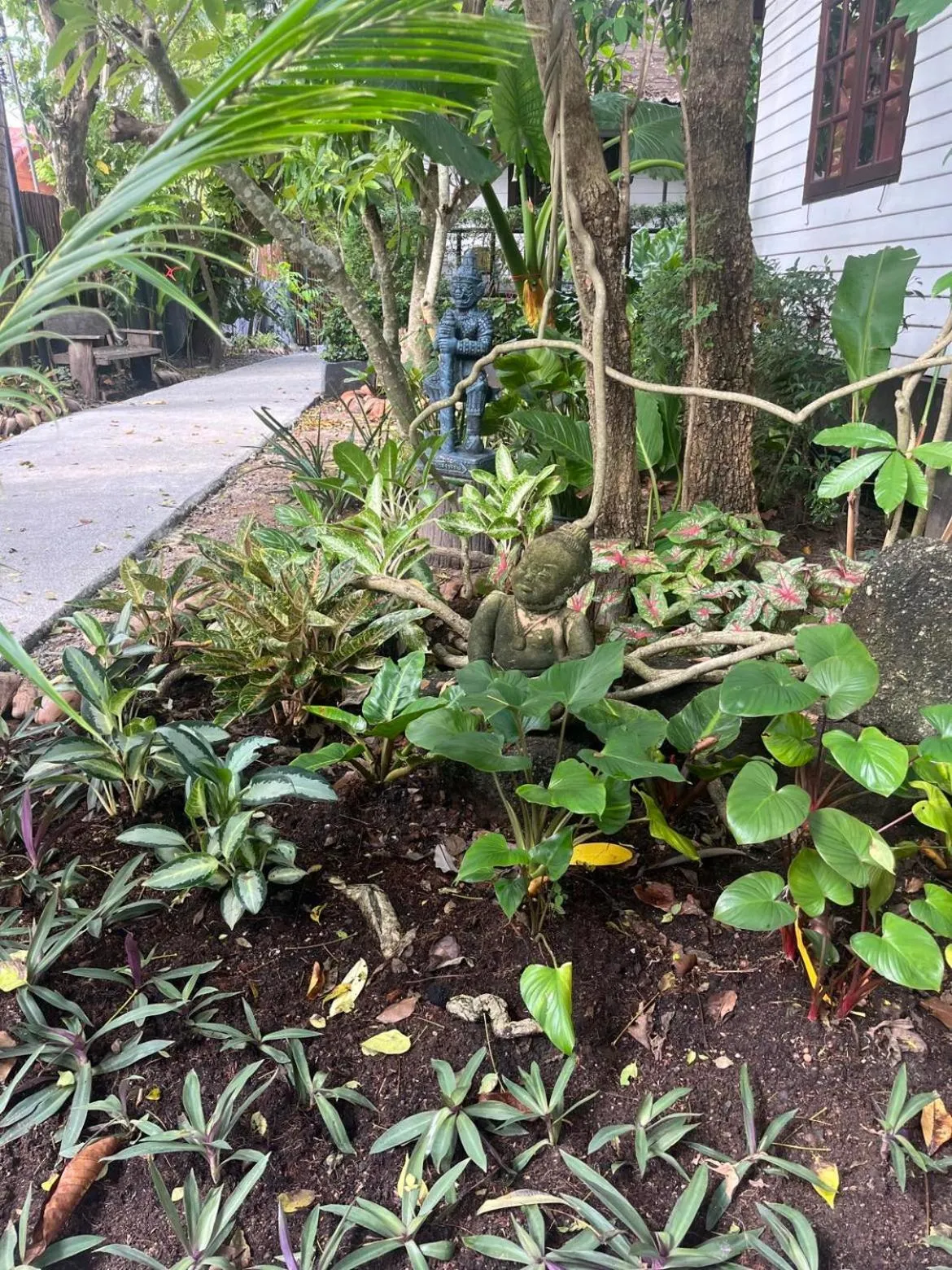 Tropical Village Resort