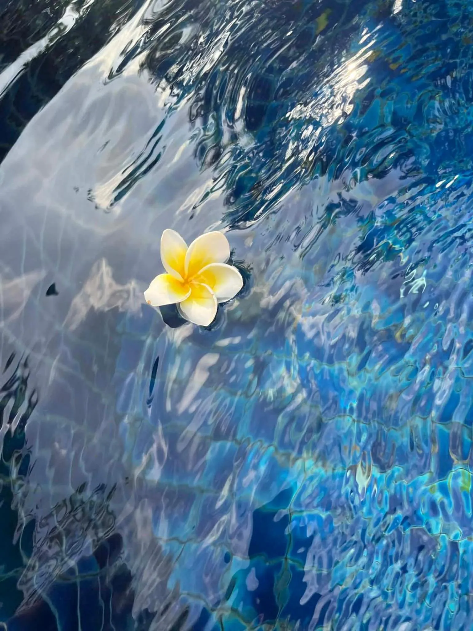 Swimming pool in Tropical Village Resort