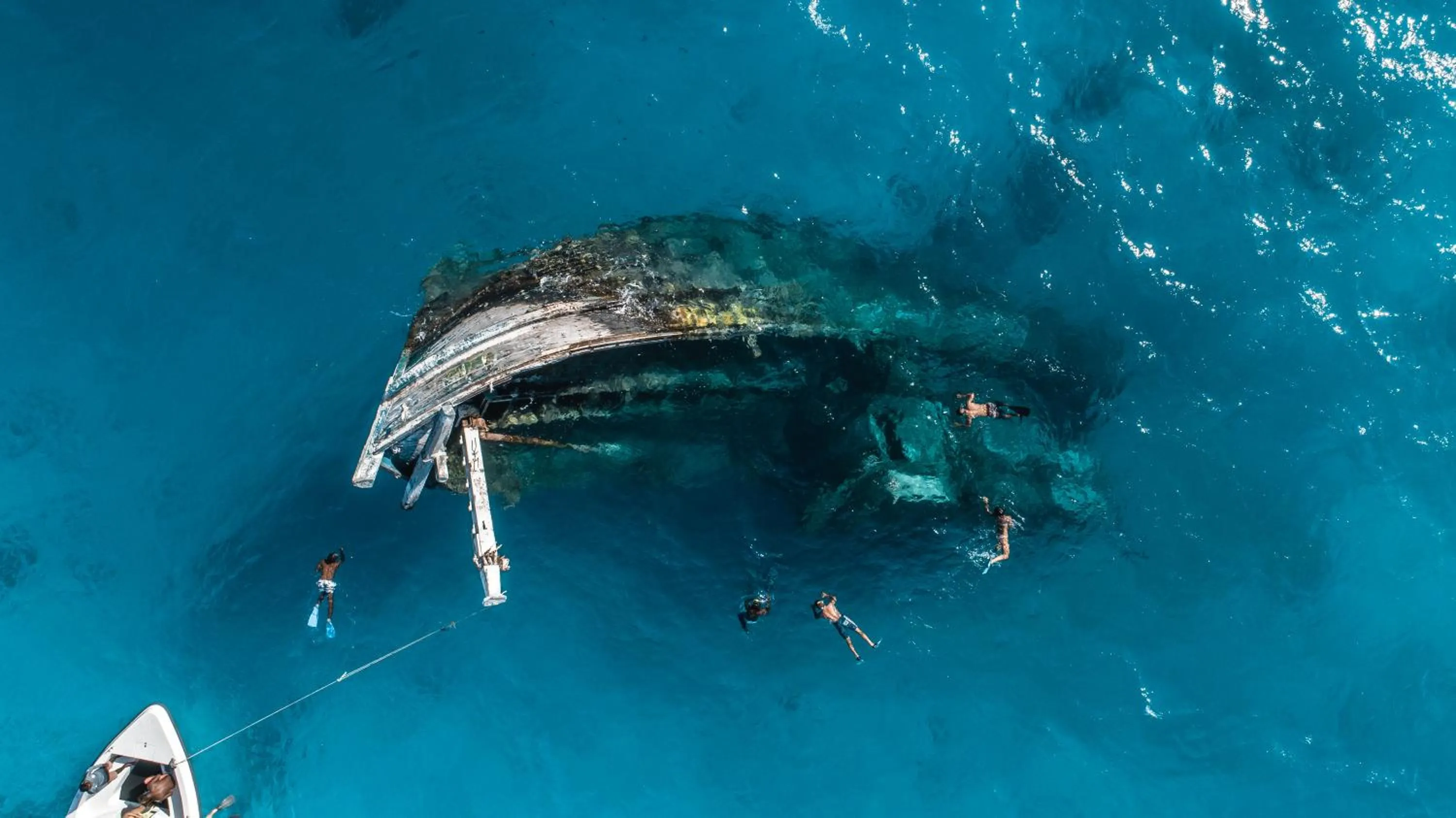Snorkeling in The Zen Den