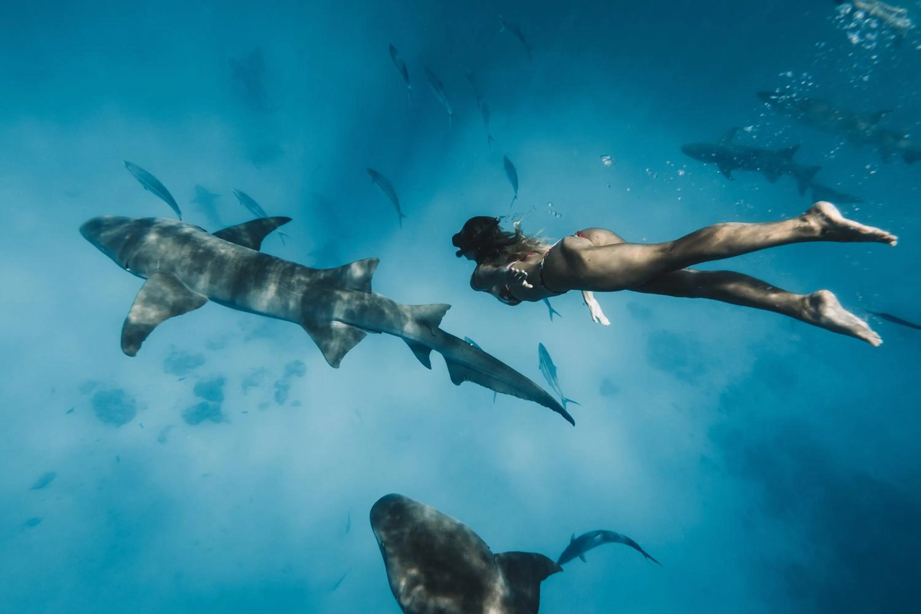 Snorkeling in The Zen Den