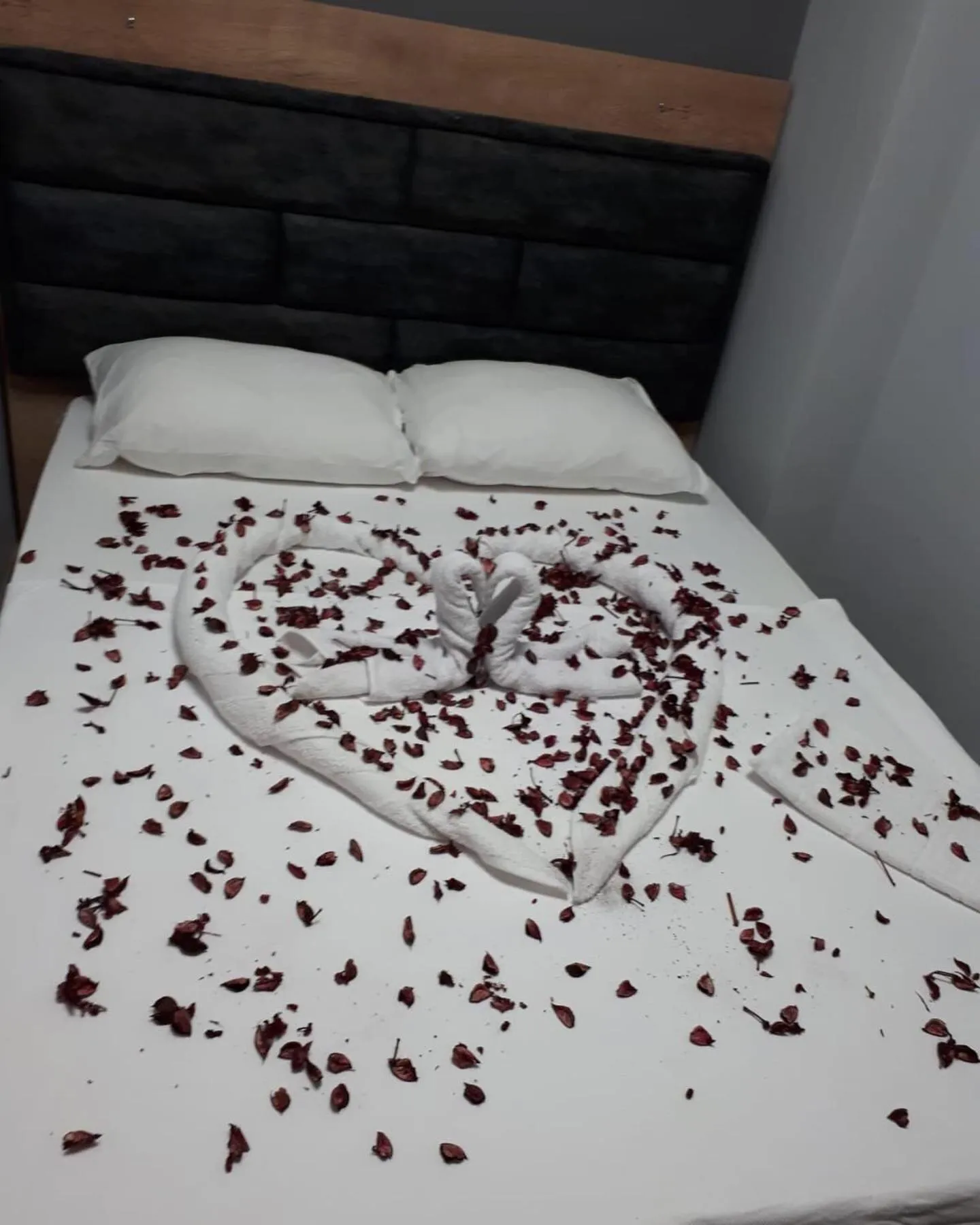 Photo of the whole room in esas pansiyon