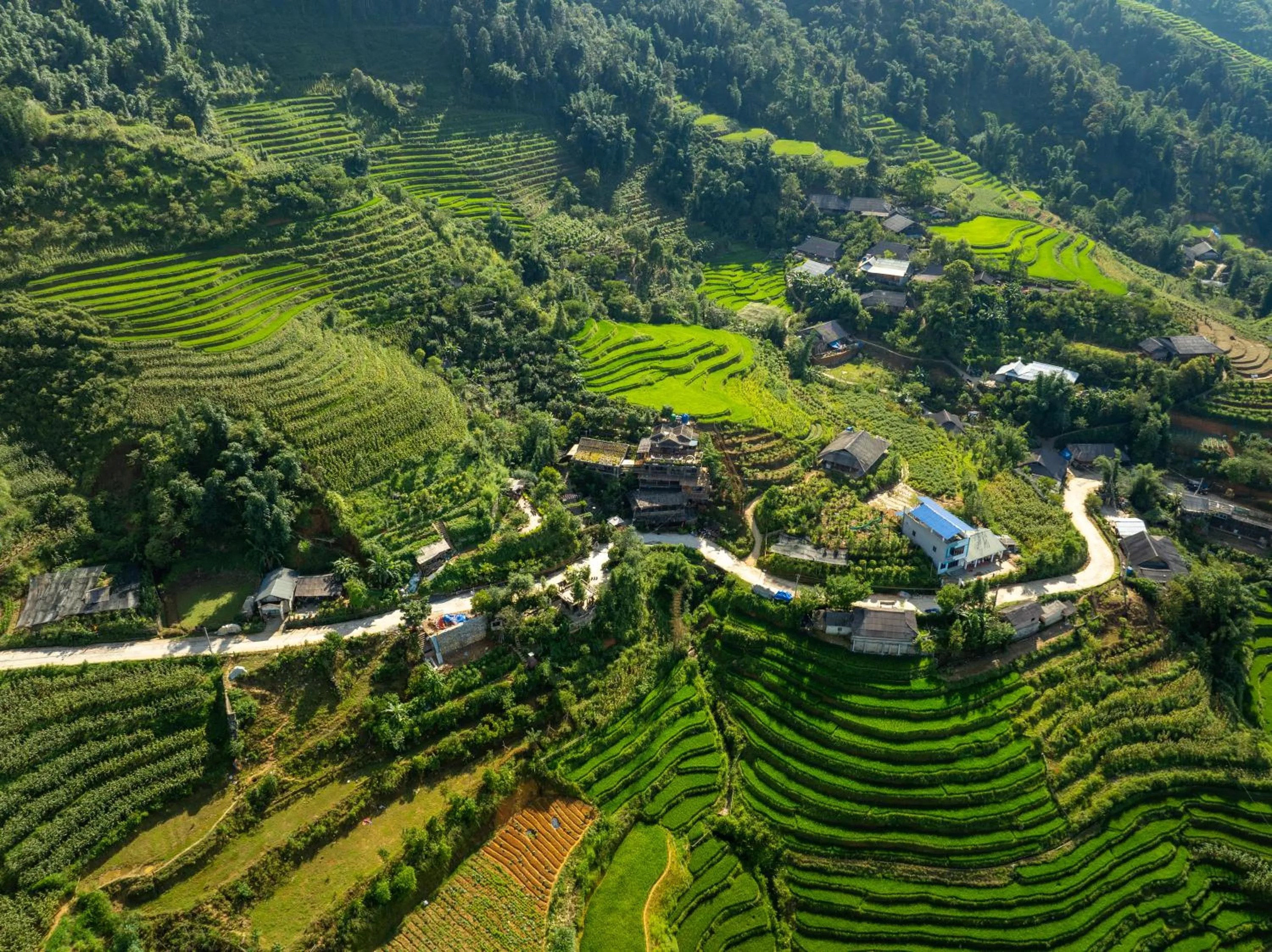 Bird's eye view in Ta Phin Cottage