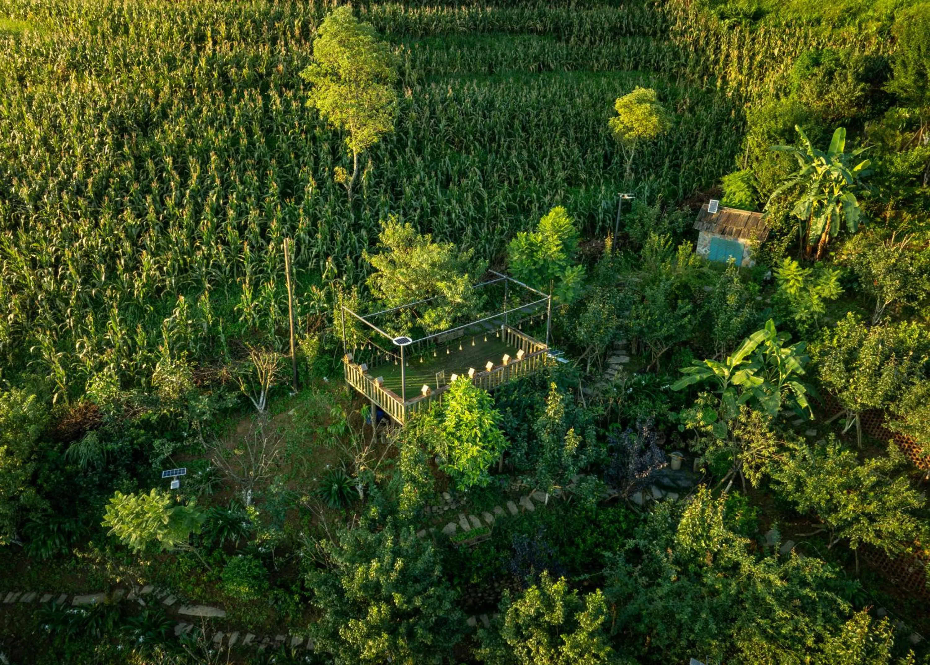 Day in Ta Phin Cottage