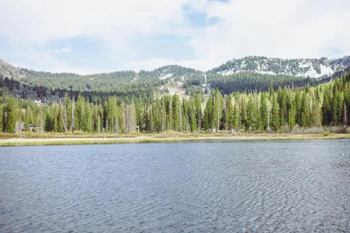 Brighton Ski Resort Hidden Falls 1 Bedroom Chalet Utah