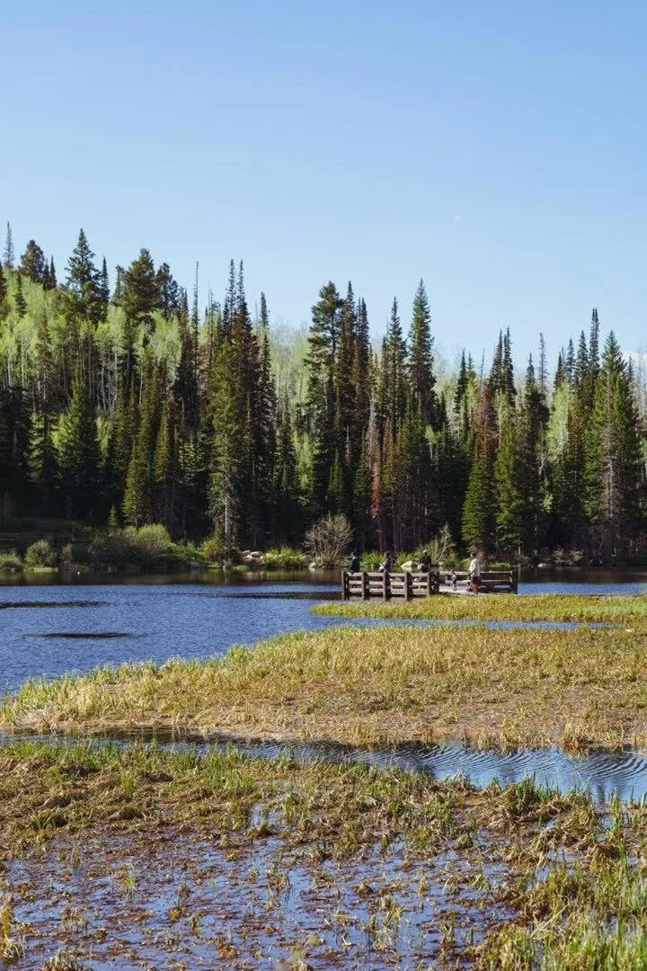 Brighton Ski Resort Hidden Falls 1 Bedroom Chalet Utah