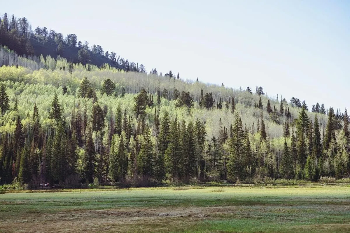 Brighton Ski Resort Hidden Falls 1 Bedroom Chalet Utah